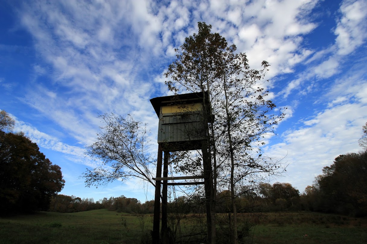 Bowdon, Georgia, 30108, United States, ,Land,For Sale,1989904