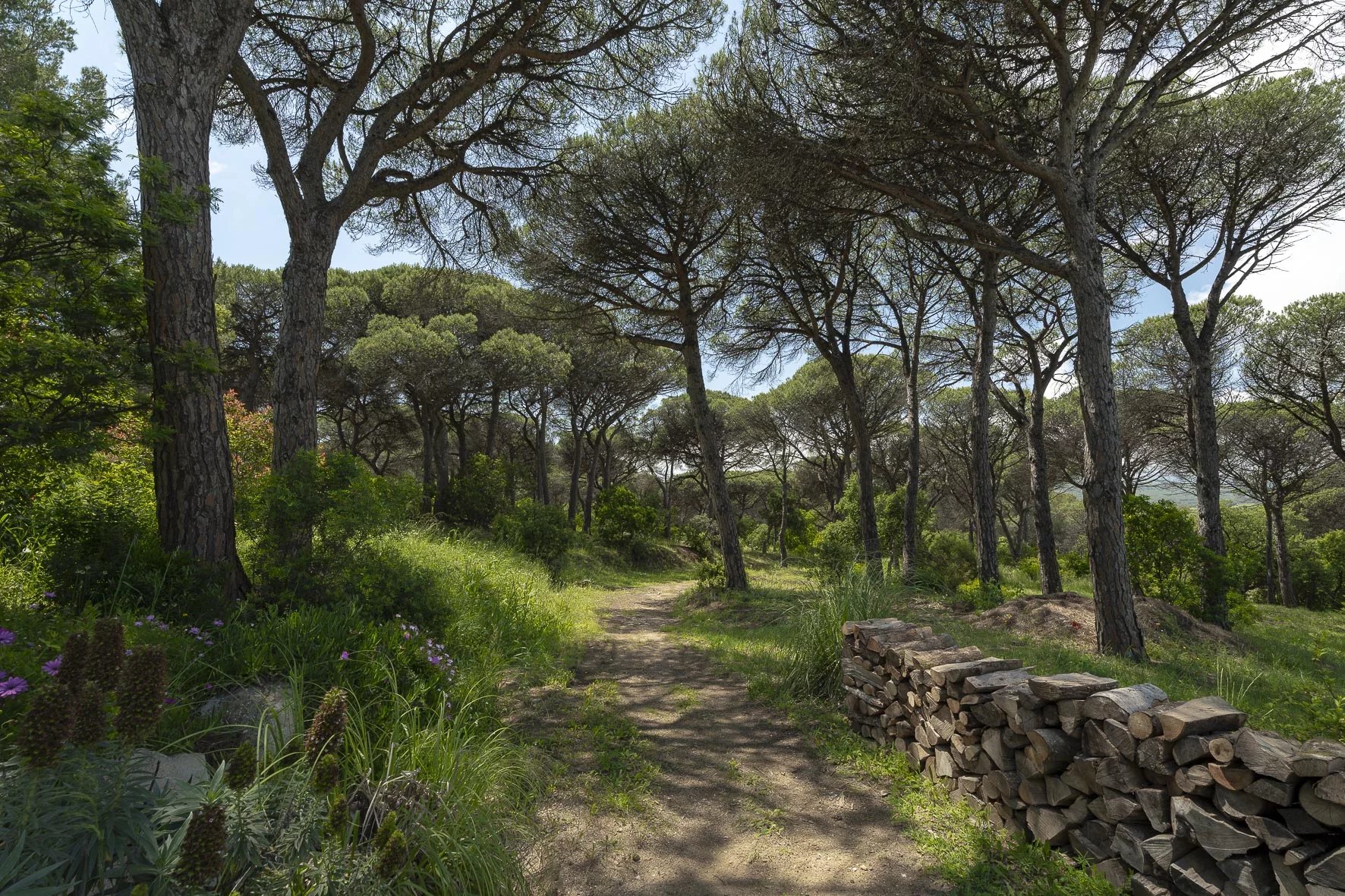 Saint-Tropez, Provence-Alpes-Côte d’Azur, 83990, FR, 6 Bedrooms Bedrooms, ,10 BathroomsBathrooms,Residential,For Sale,1656229