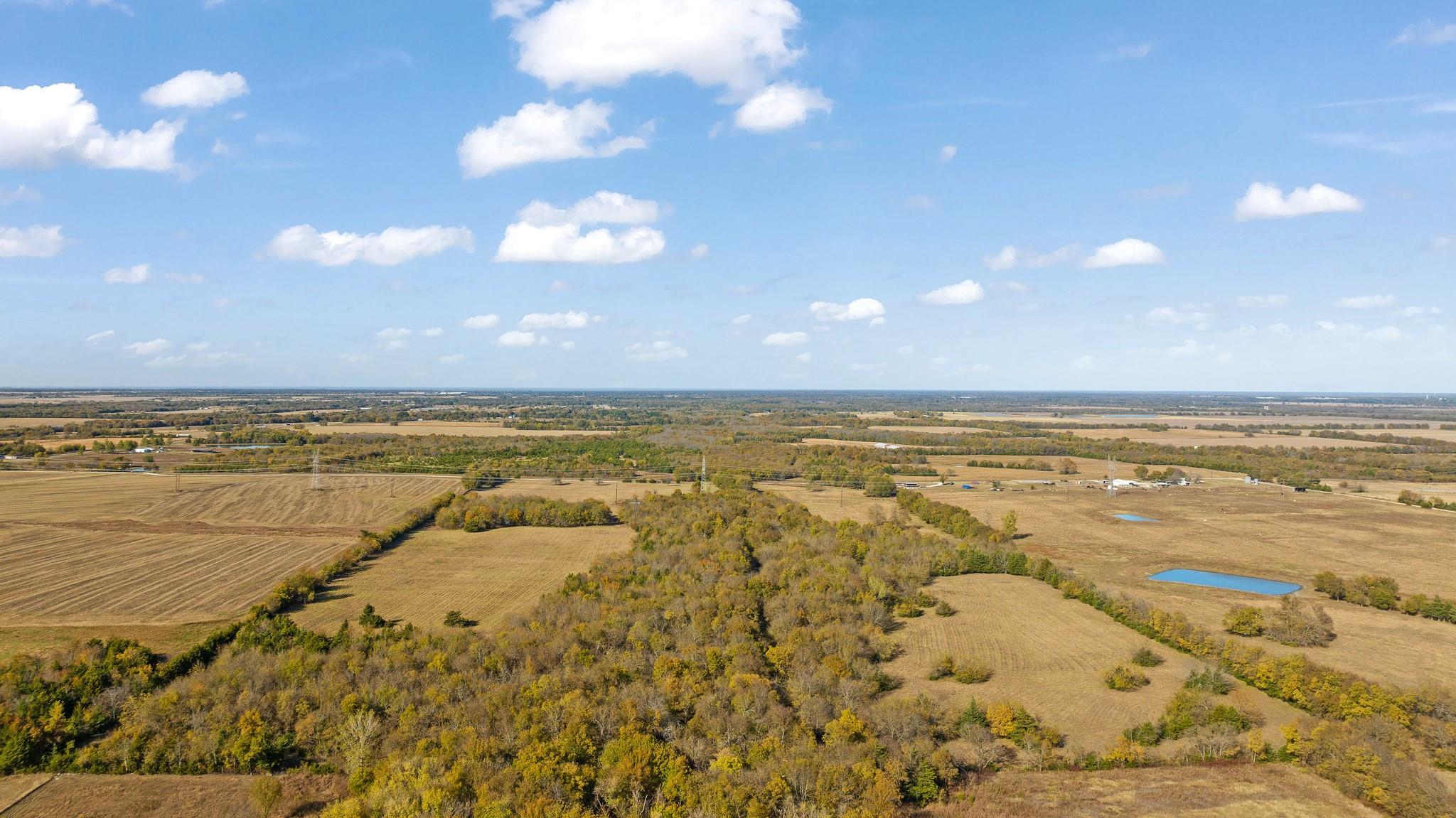 Honey Grove, Texas, 75446, United States, ,Land,For Sale,1992343