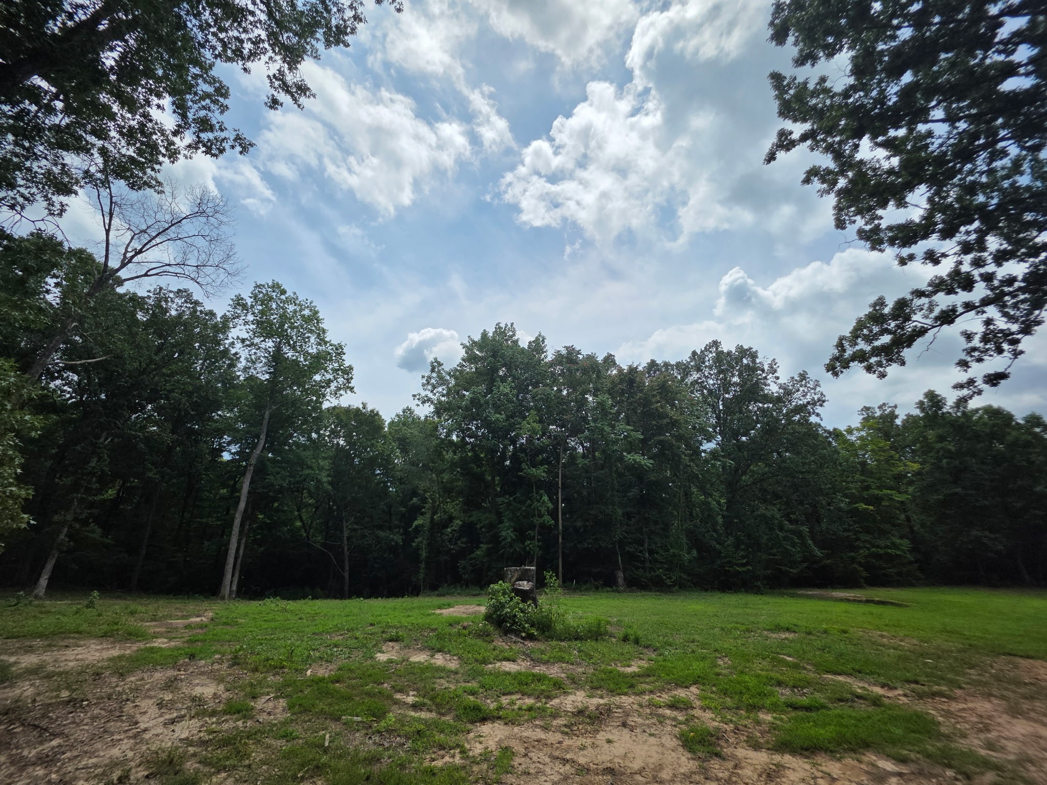 Cunningham, Tennessee, 37052, United States, ,Residential,For Sale,1920443