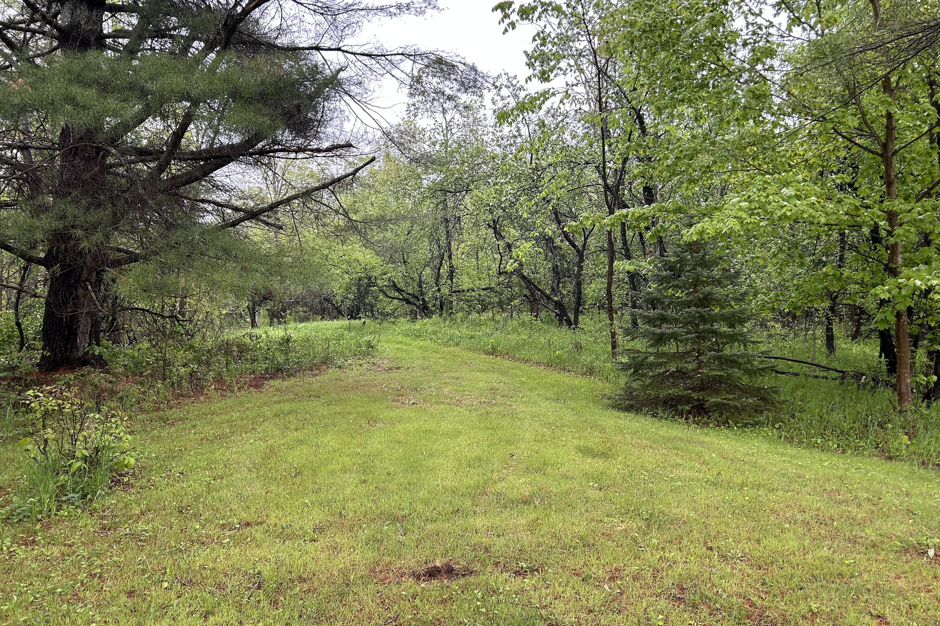  Havelock-Belmont-Methuen, - 物件實景