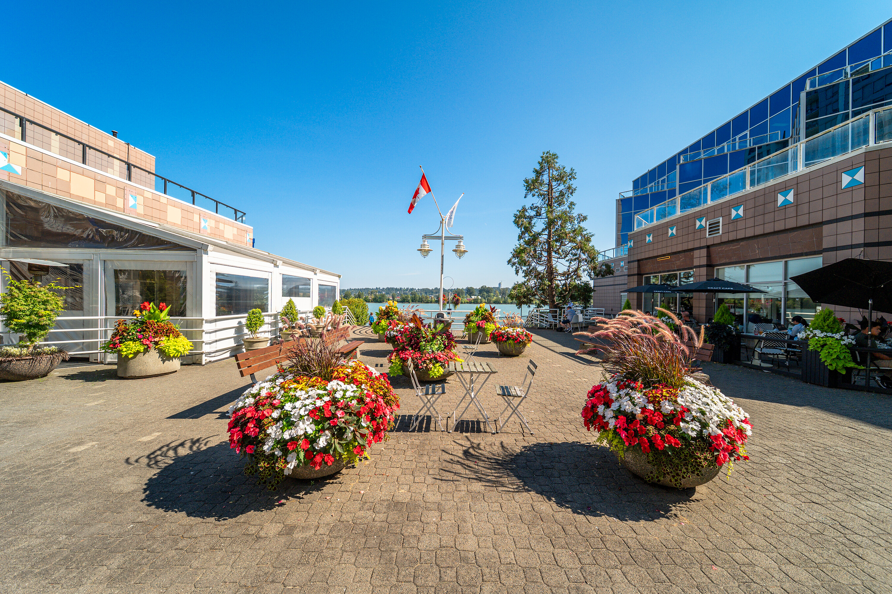  New Westminster, Greater Vancouver - 物件實景
