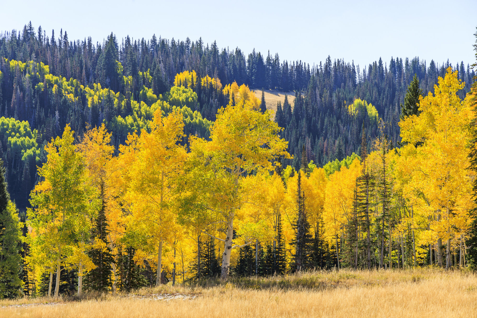  Incredible 28 Acre Estate Lot in the Colony at White Pine Canyon - 物件實景