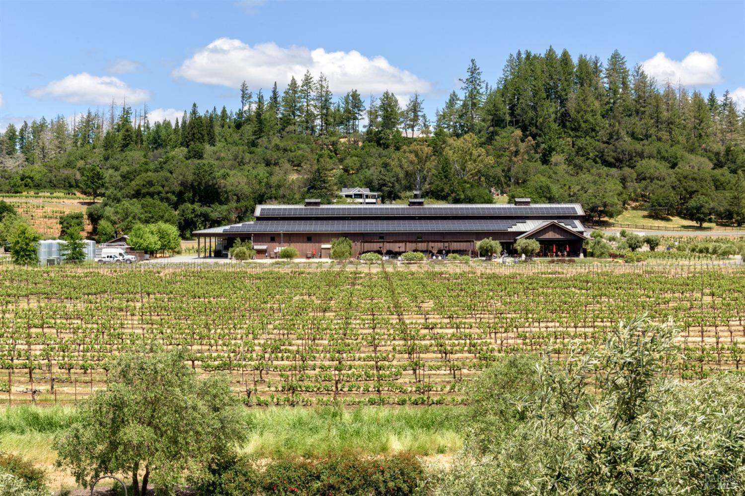 1290 Dry Creek Road, Healdsburg, California, 95448, United States, 4 Bedrooms Bedrooms, ,6 BathroomsBathrooms,Residential,For Sale,1290 Dry Creek Road,1621886