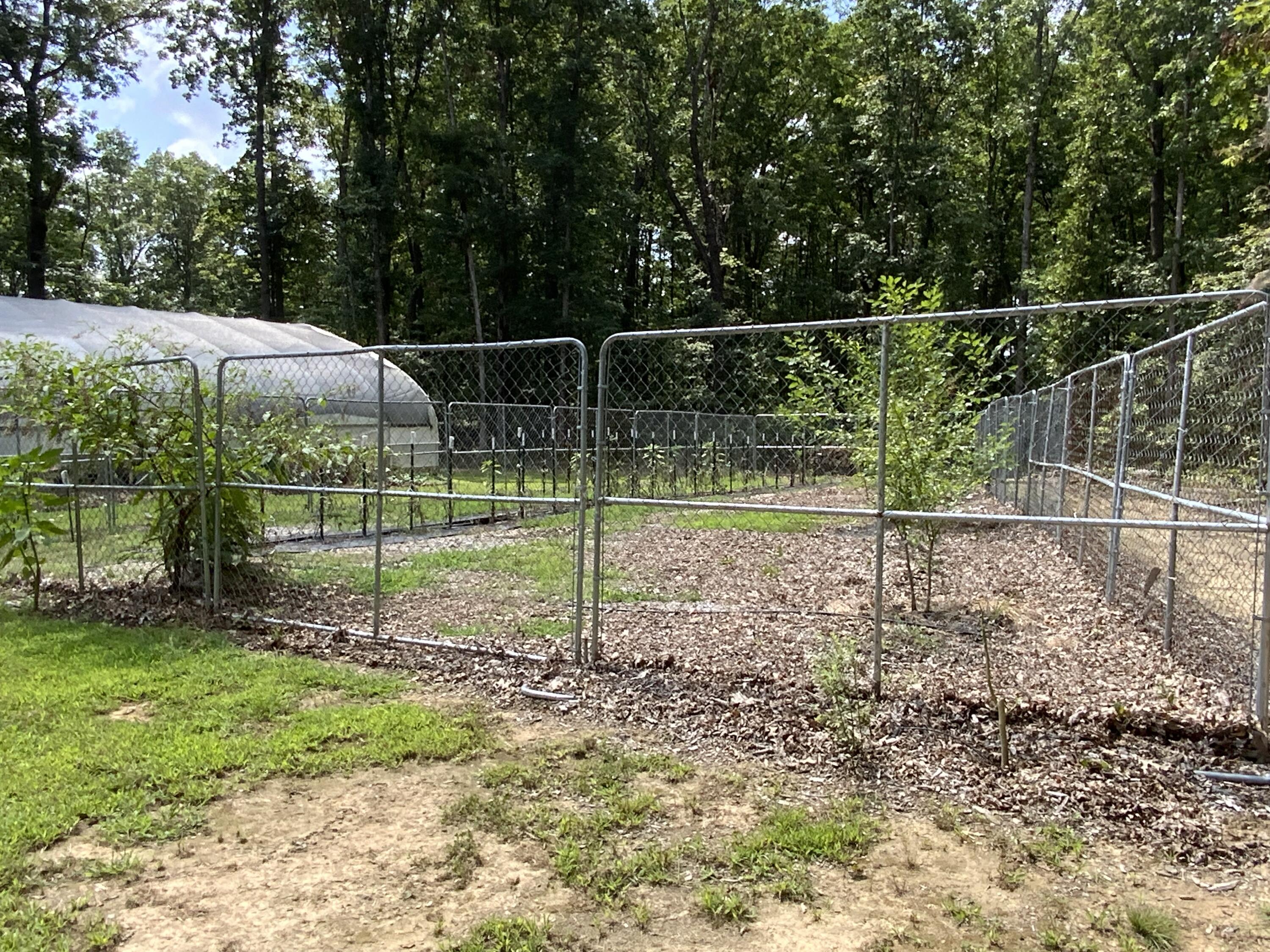 Tracy City, Tennessee, 37387, United States, 3 Bedrooms Bedrooms, ,Residential,For Sale,1979741