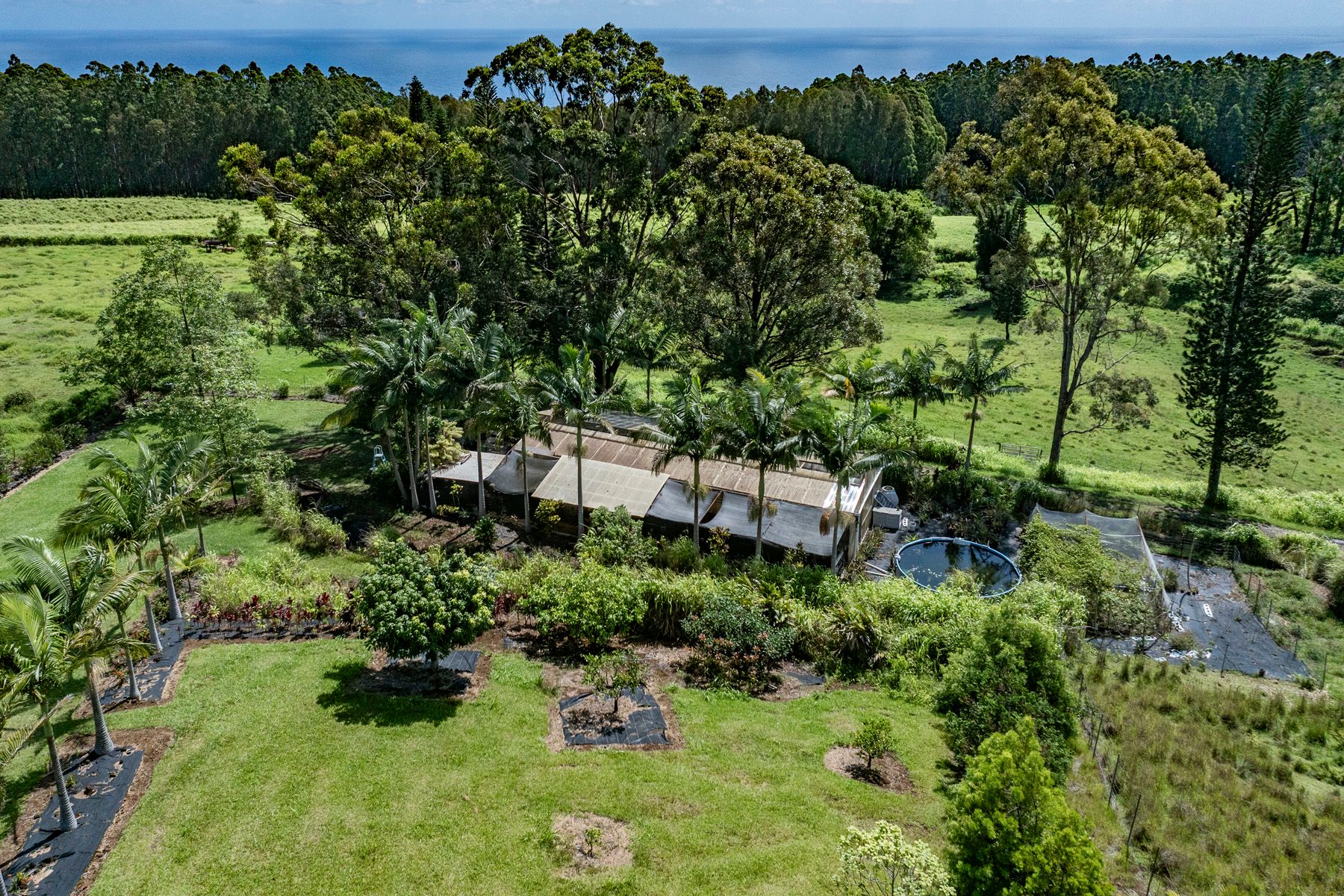  35-1655 Maulua Nui Rd, Papaaloa, HI, 96780 - 物件實景