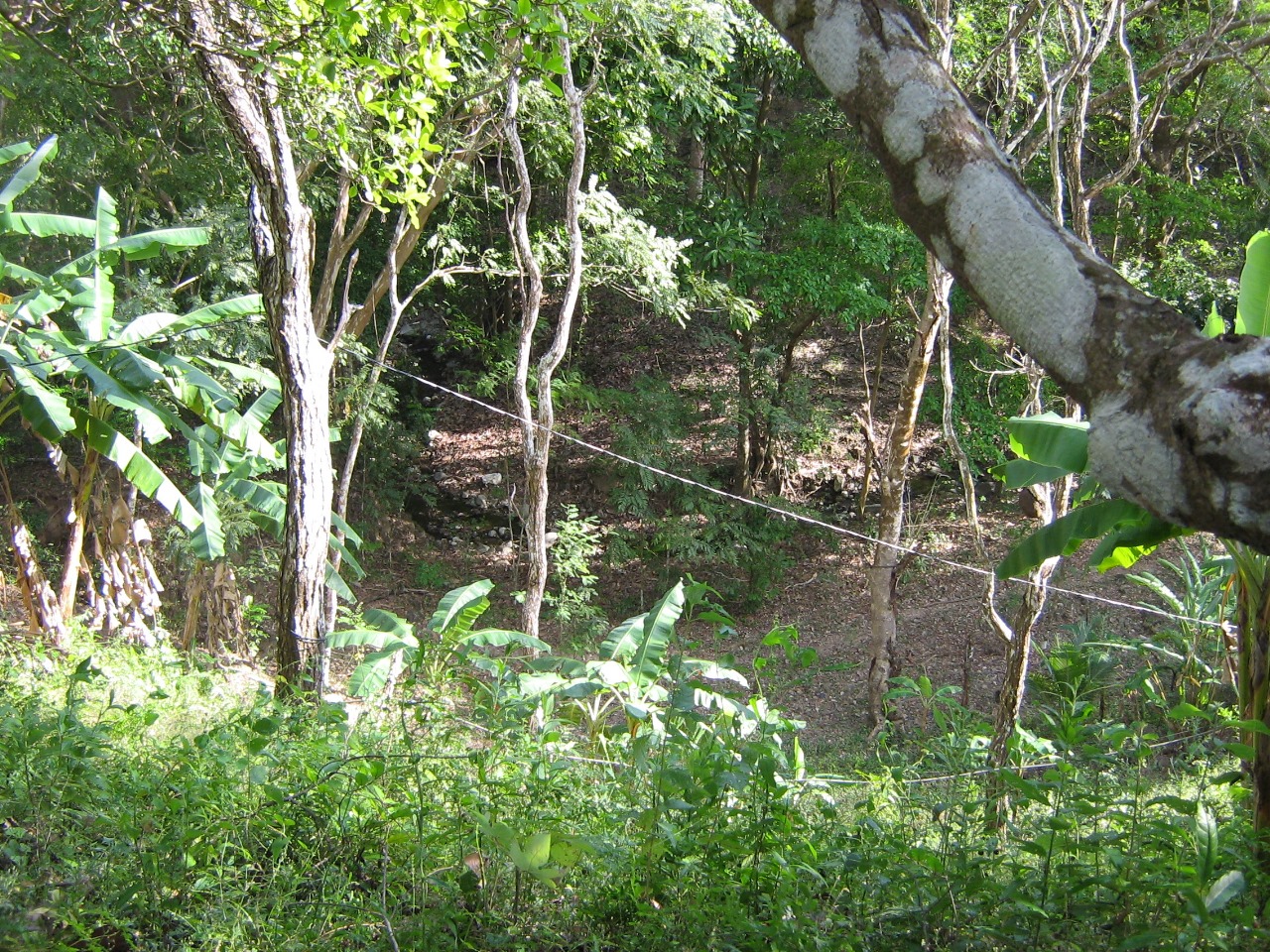Vainilla Pochote Tambor, Tambor, Puntarenas, CR, ,Land,For Sale,Vainilla Pochote Tambor,1616133