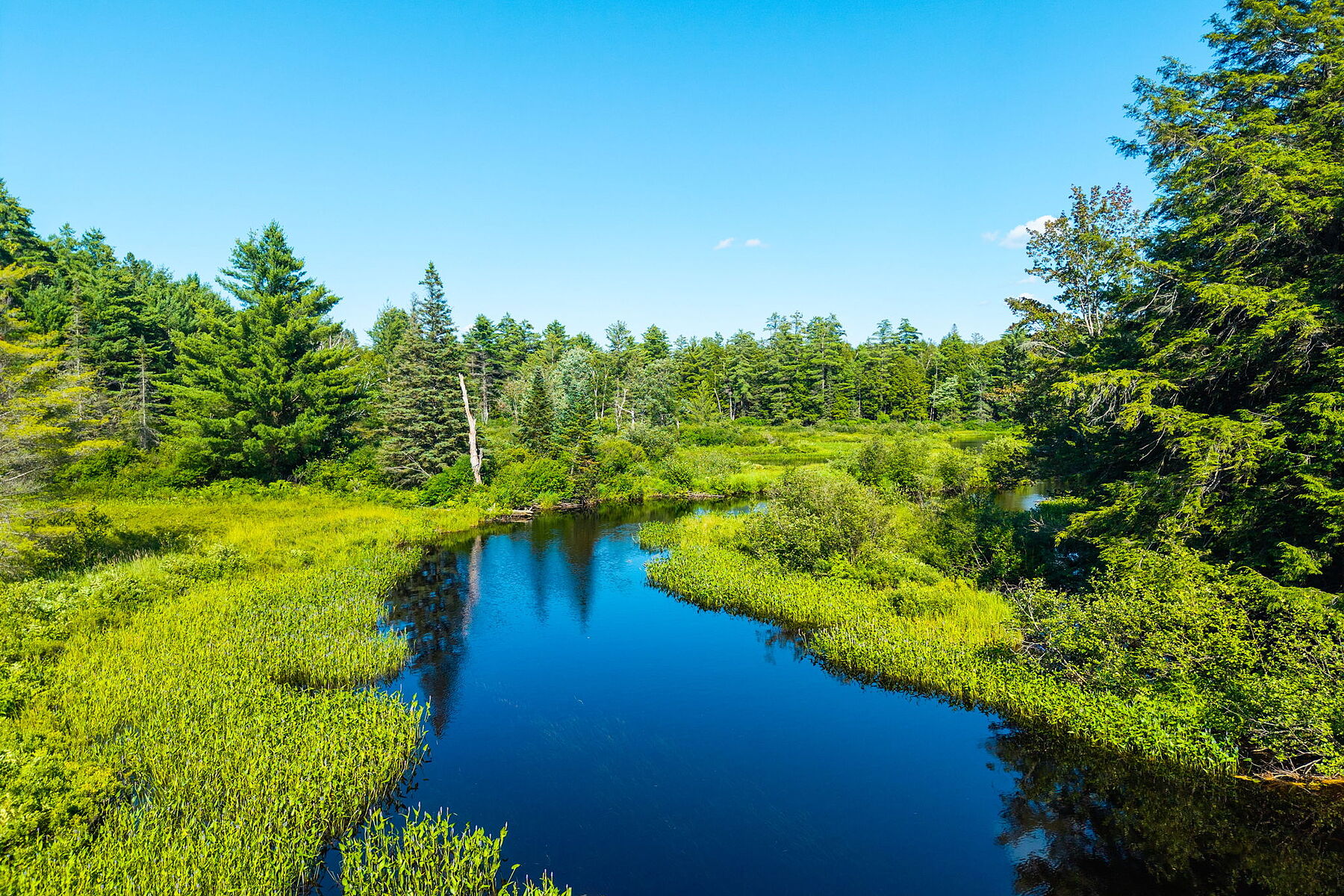  Buck River Huntsville - 物件實景