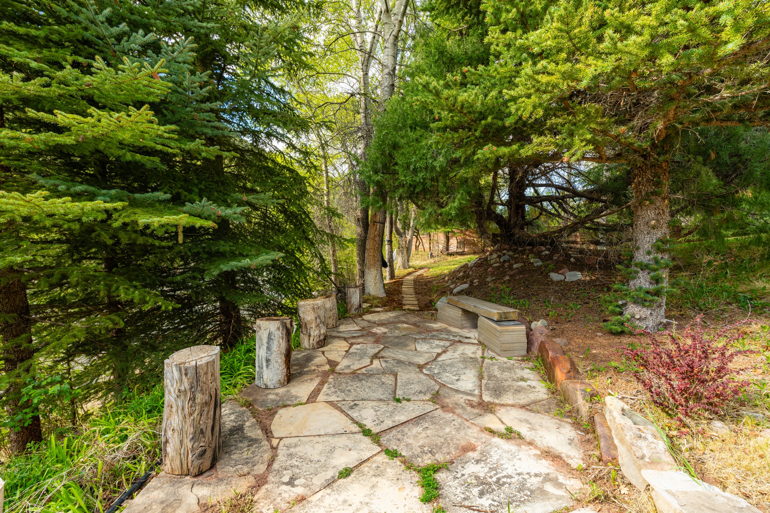  357 Crystal Lane, Carbondale, CO, 81623 - 物件實景
