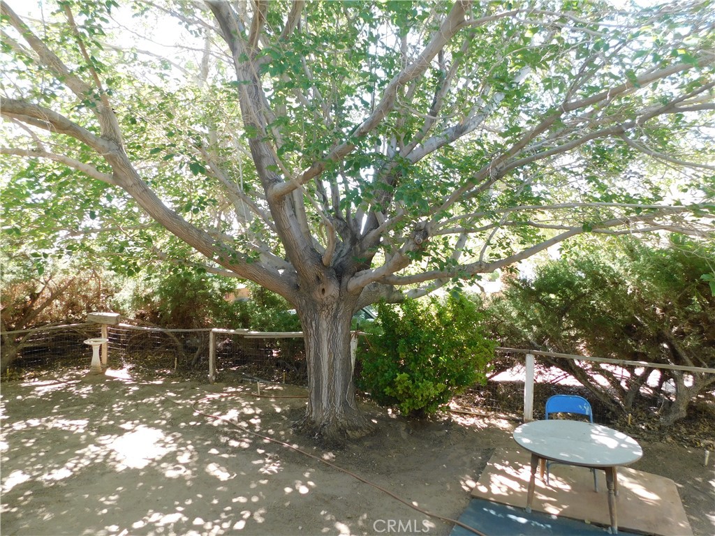 Newberry Springs, California, 92365, United States, 4 Bedrooms Bedrooms, ,6 BathroomsBathrooms,Residential,For Sale,1990195