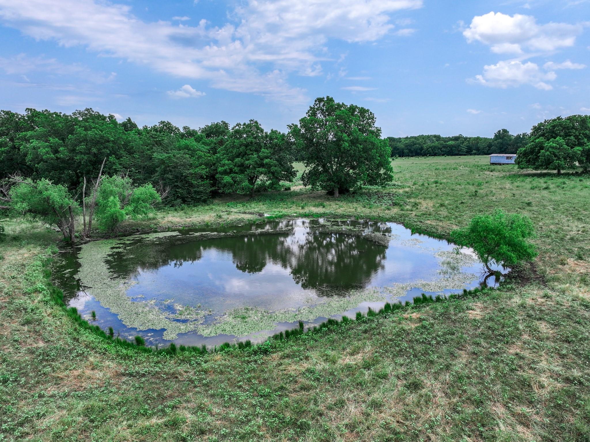 Commerce, Texas, 75428, United States, ,Land,For Sale,1980085