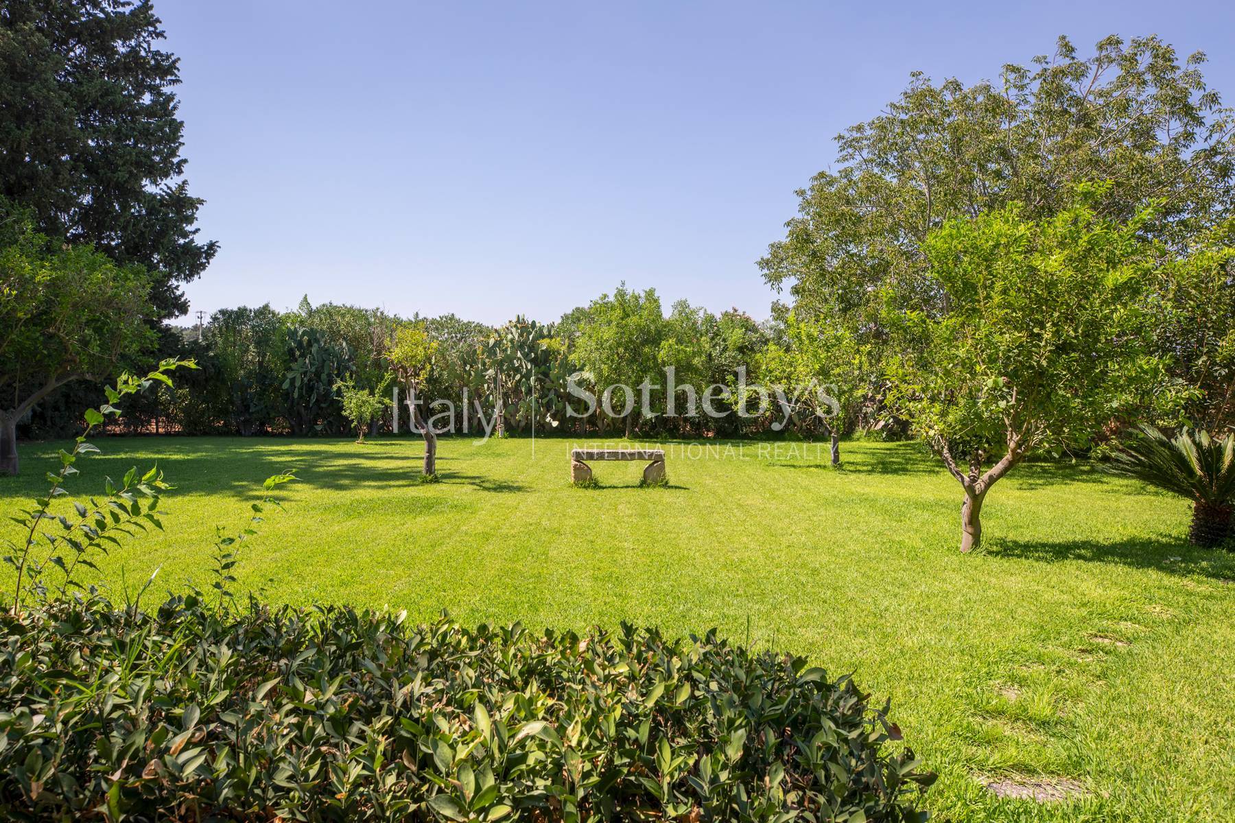  Historic Sicilian wine estate with vineyards and olive grove - 物件實景