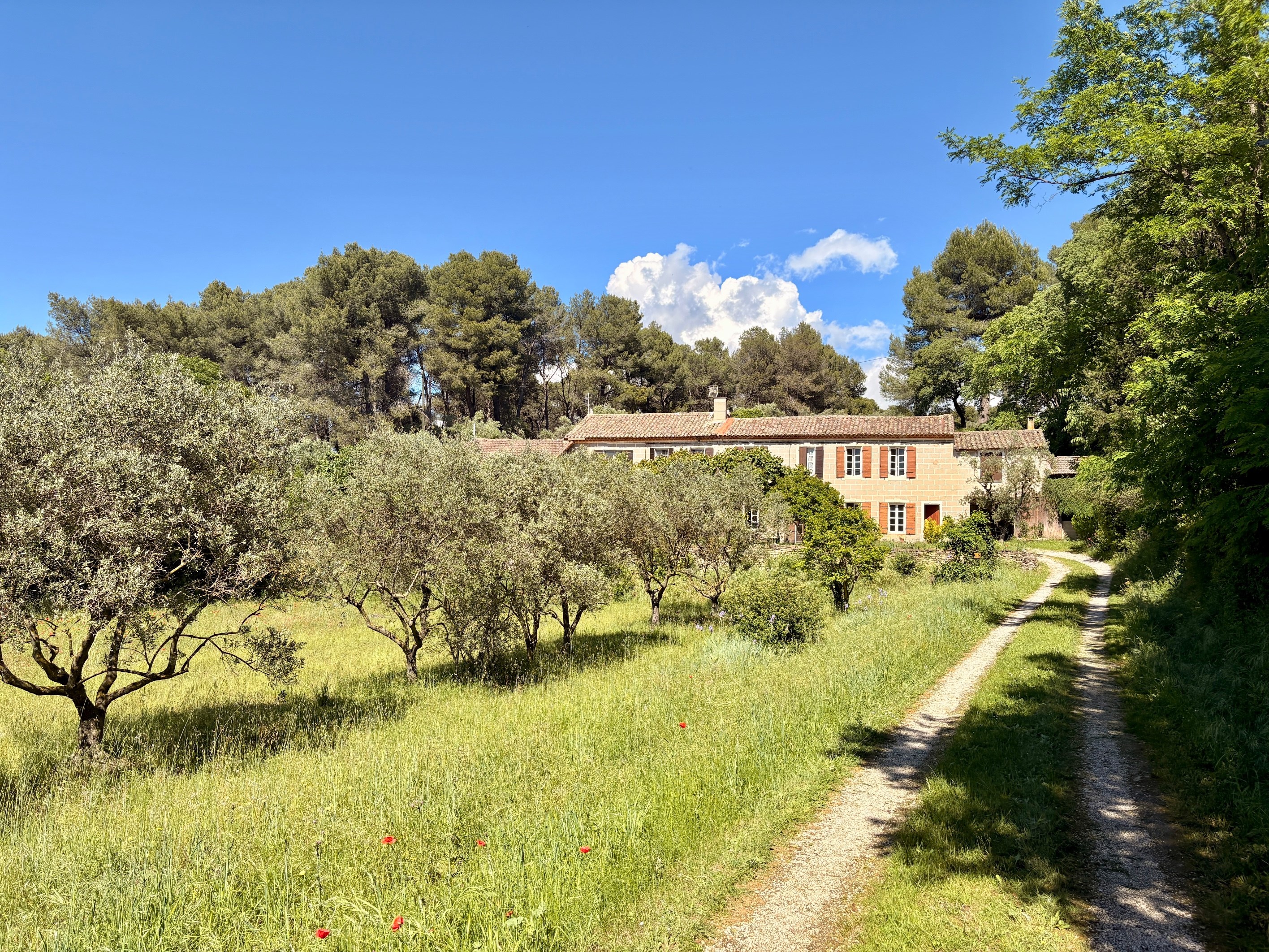  Authentic family farmhouse set in the heart of a private estate of more than 3 … - 物件實景