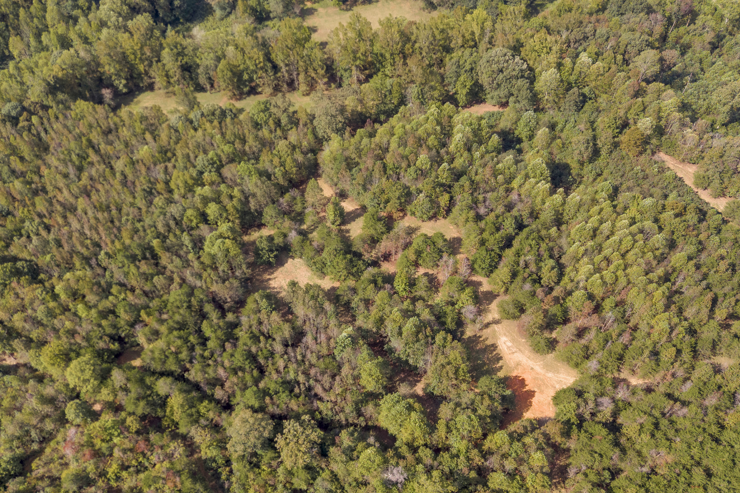 Cleveland, Georgia, 30528, United States, 3 Bedrooms Bedrooms, ,2 BathroomsBathrooms,Residential,For Sale,1979350