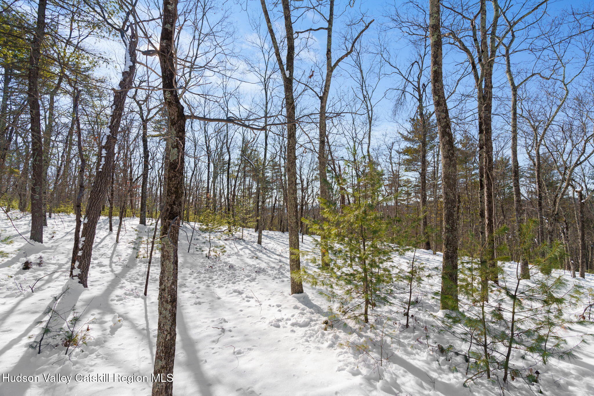 Hurley, New York, 12443, United States, ,Residential,For Sale,1947114