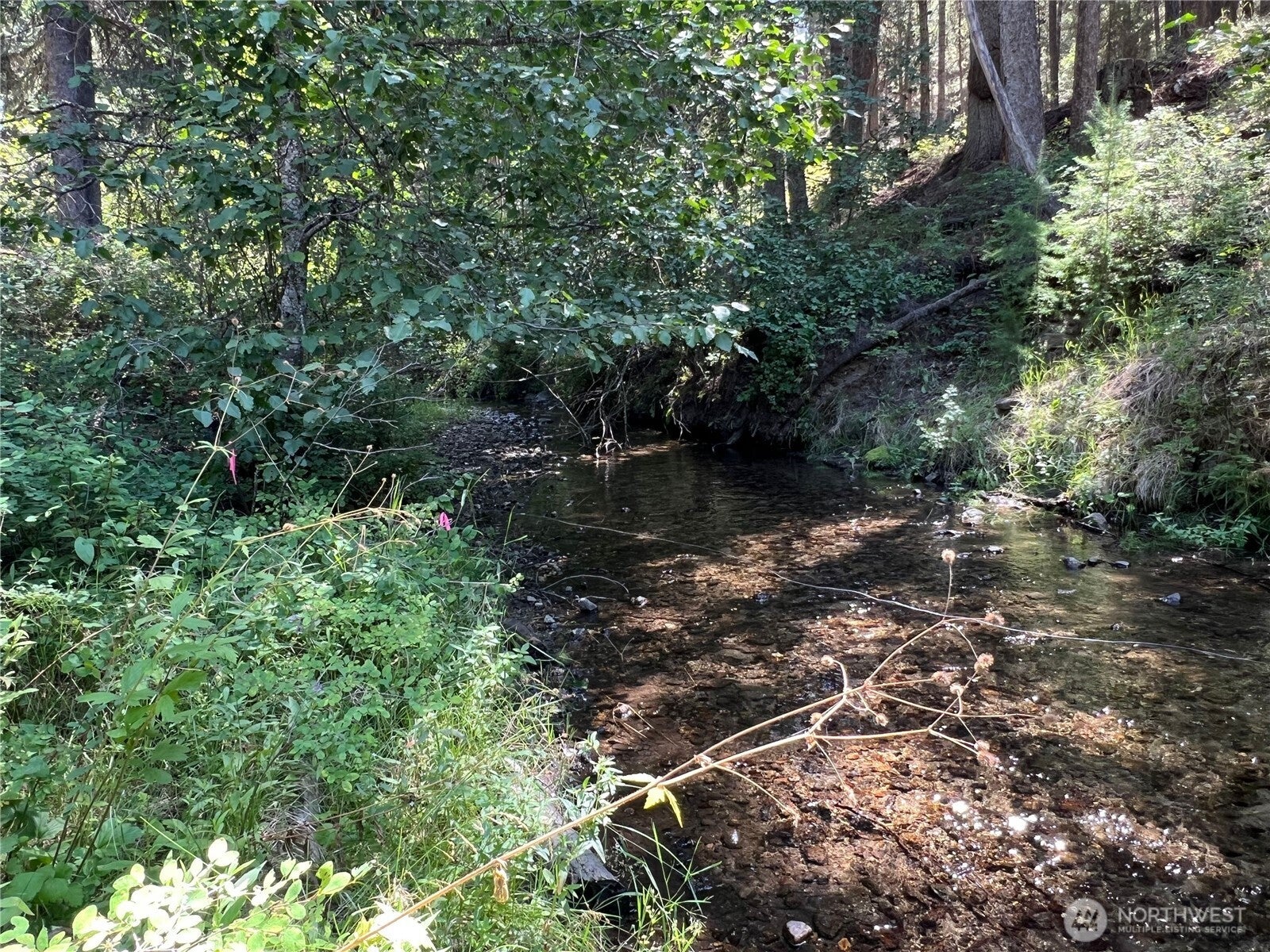 Tonasket, Washington, 98855, United States, 3 Bedrooms Bedrooms, ,2 BathroomsBathrooms,Residential,For Sale,2002069