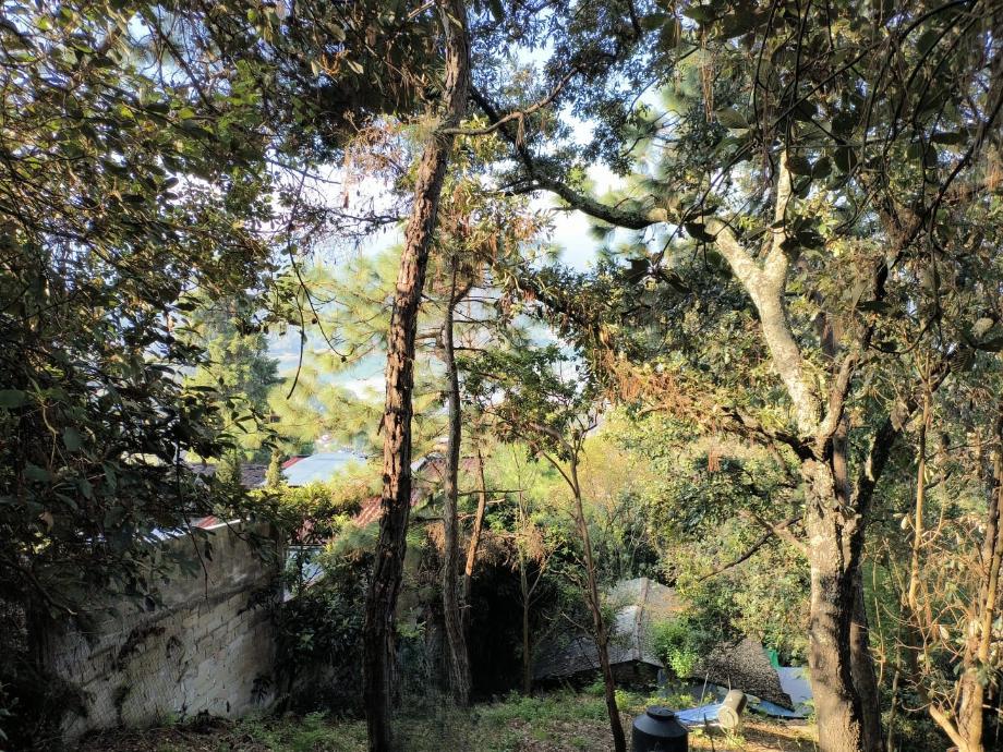 Valle de Bravo, Estado de méxico, 51200, Mexico, 1 Bedroom Bedrooms, ,Residential,For Sale,1721509