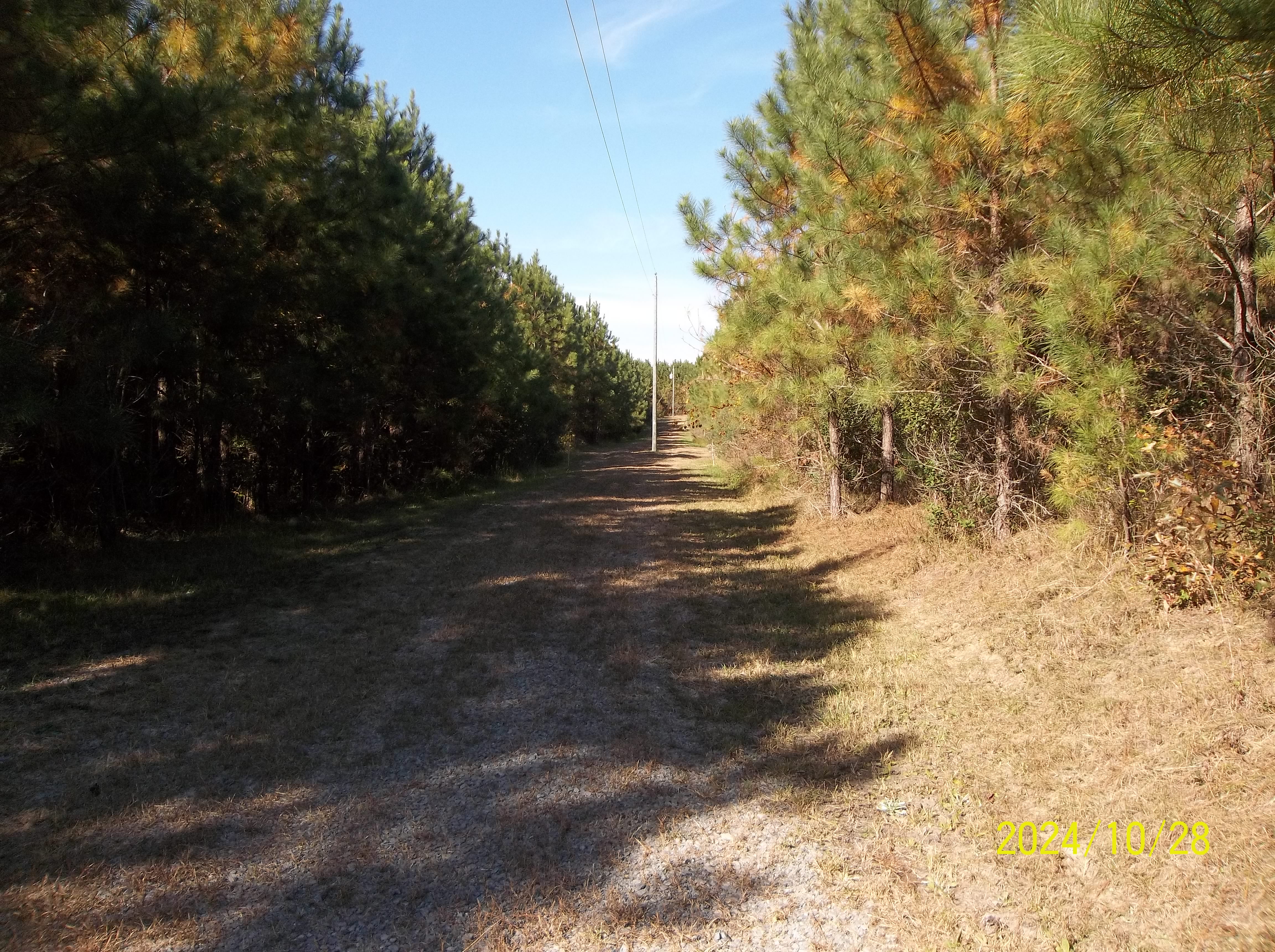 Drewryville, Virginia, 23844, United States, ,Residential,For Sale,1924271