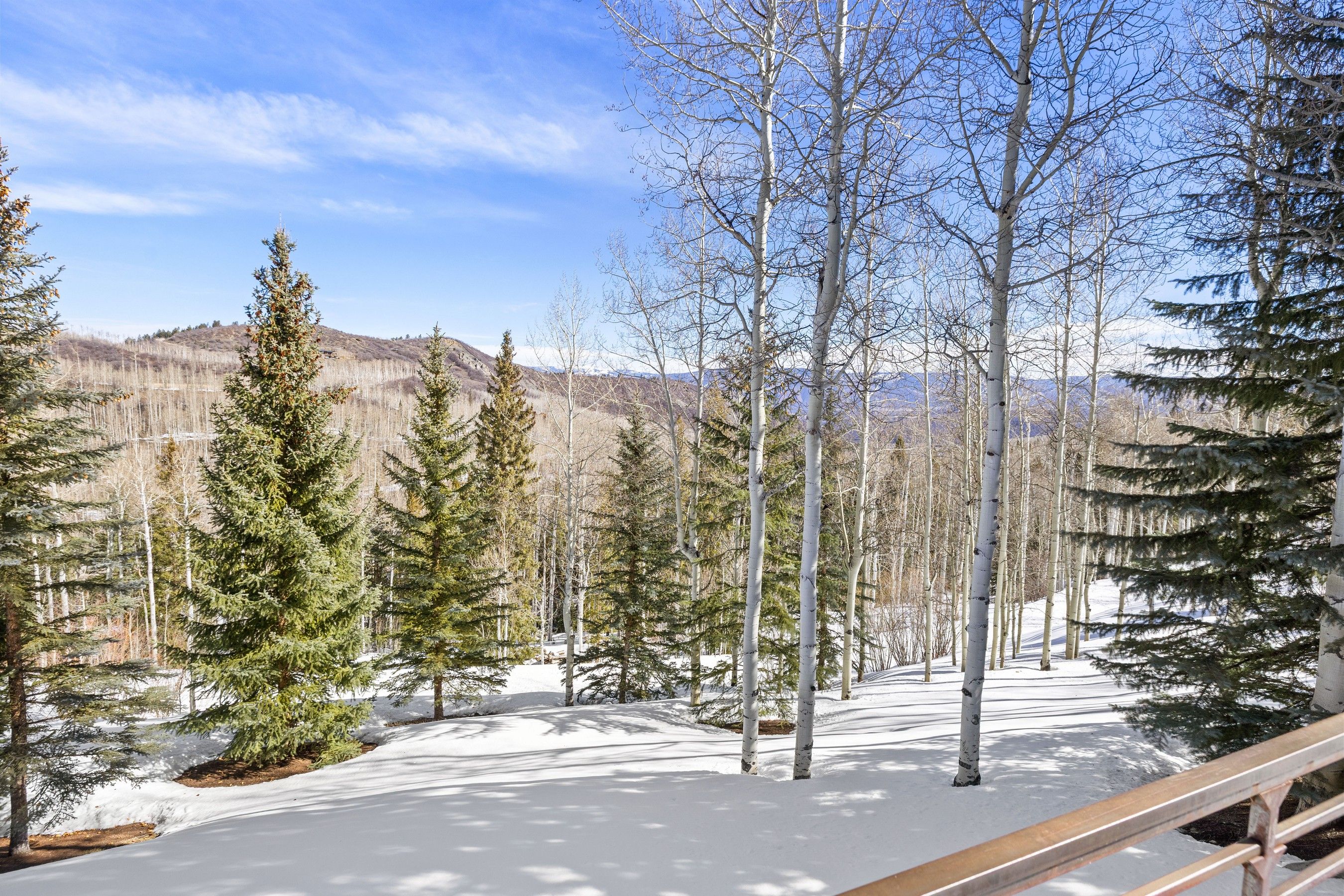  142 Aspen Way, Snowmass Village, CO, 81615 - 物件實景