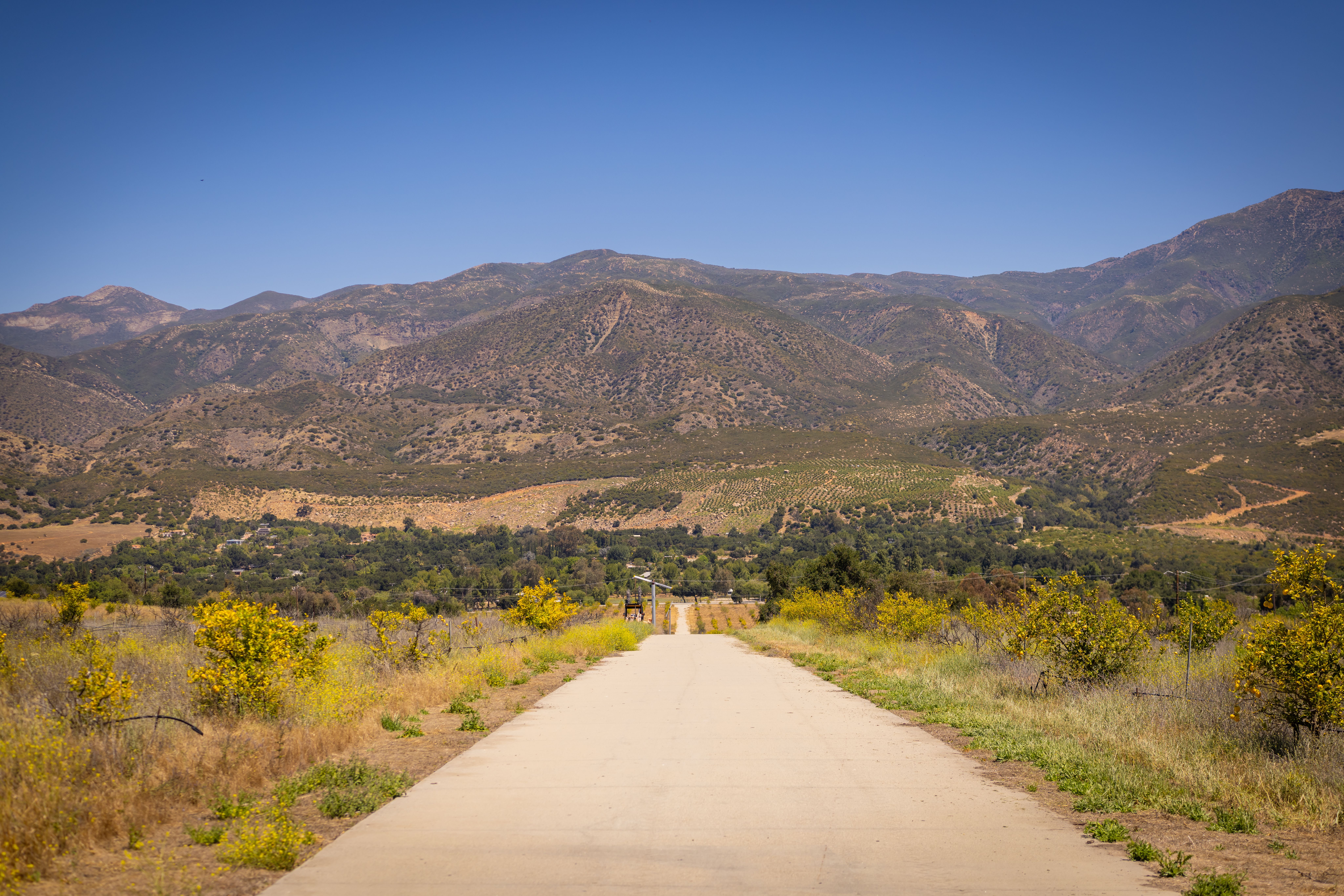  12400 Ojai Santa Paula Road, Ojai, CA 93023 - 物件實景