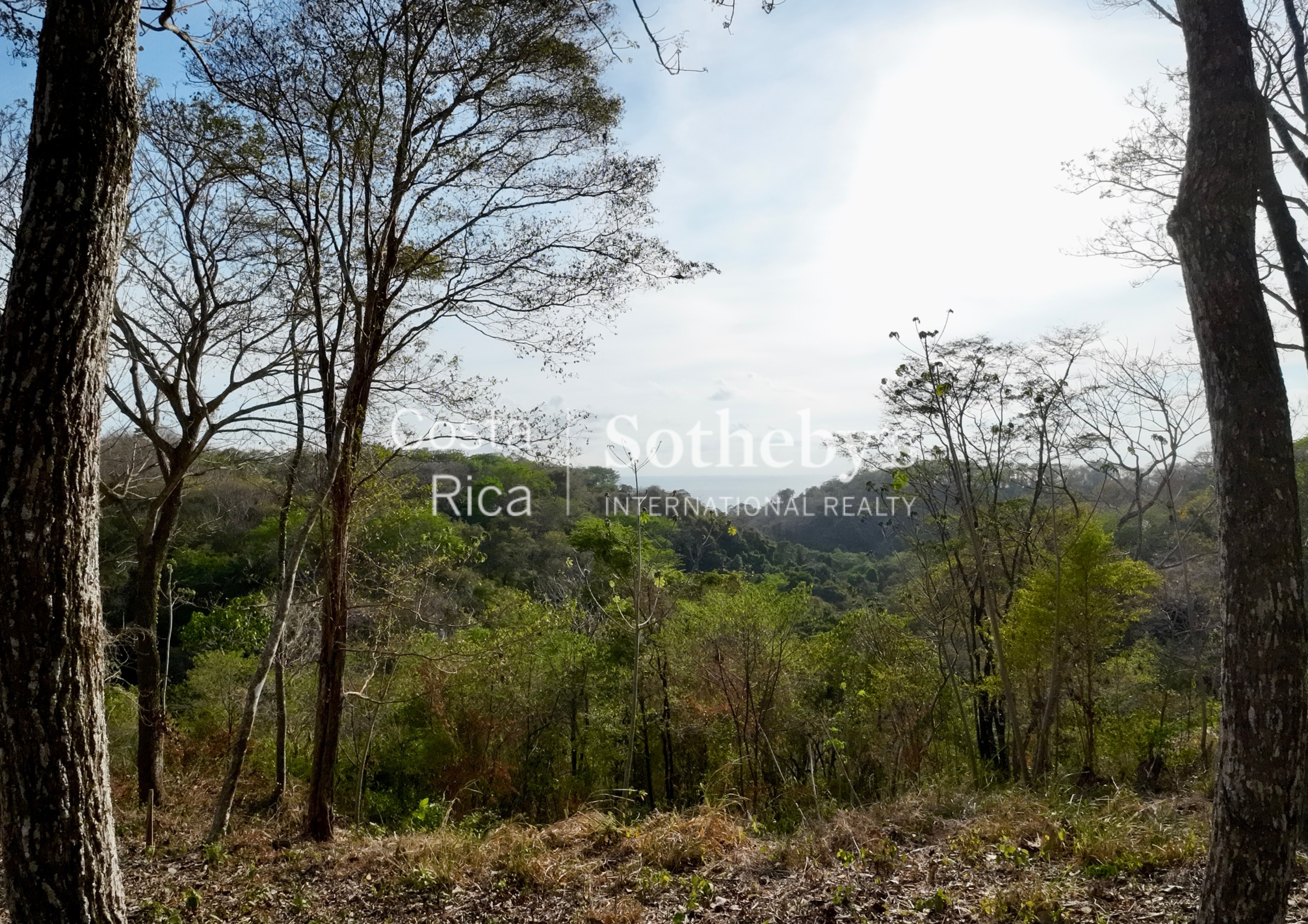  Idyllic Ocean View Lot in the Hills of Hermosa - 物件實景