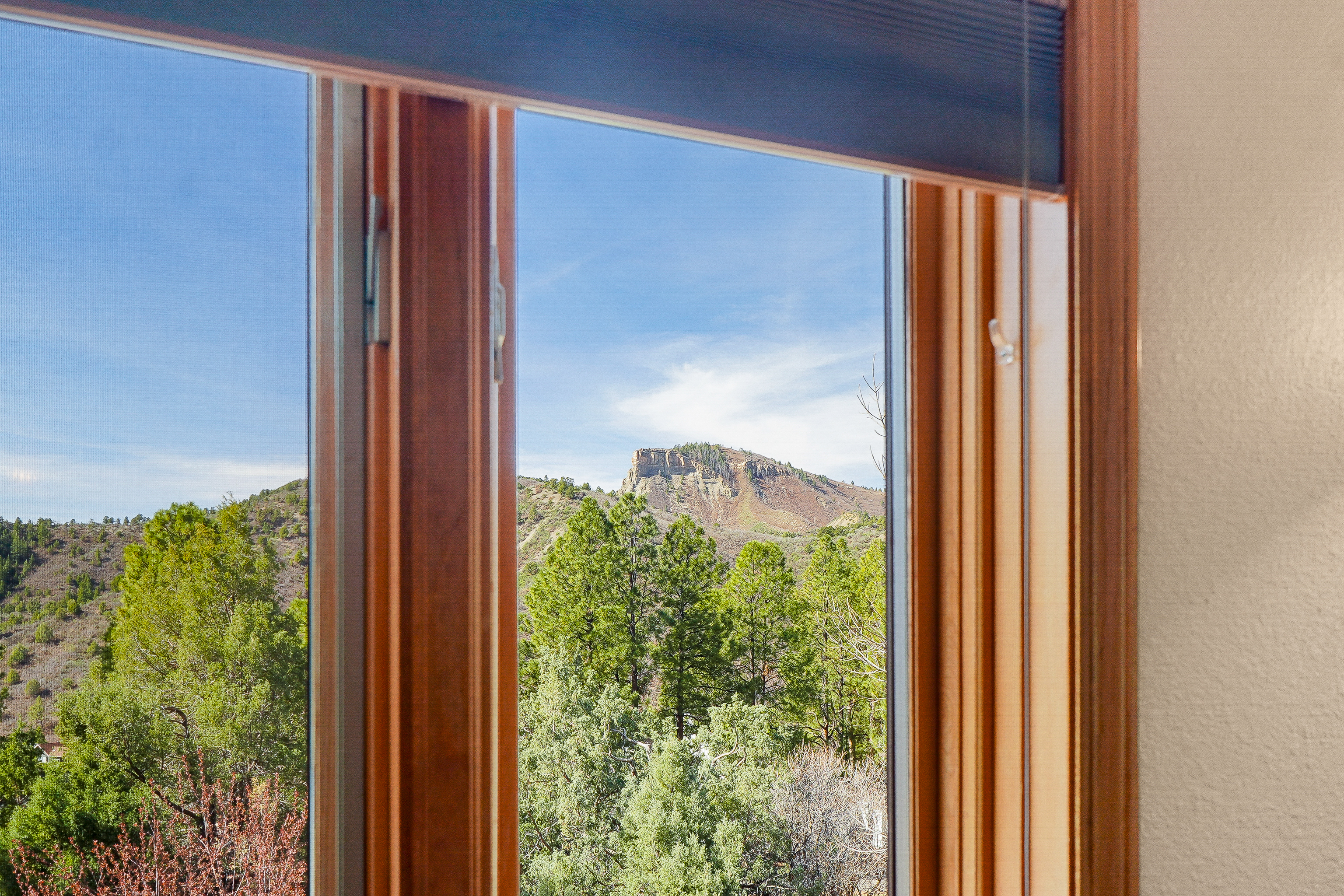  25 Perins Vista Drive, Durango, CO 81301 - 物件實景