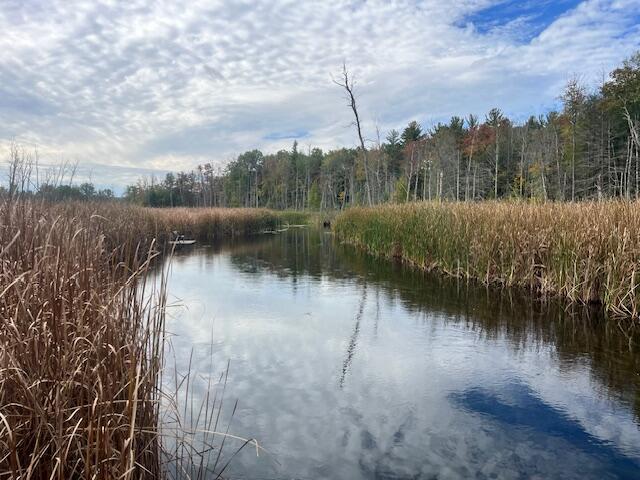 Branch, Michigan, 49402, United States, 5 Bedrooms Bedrooms, ,4 BathroomsBathrooms,Residential,For Sale,1986273