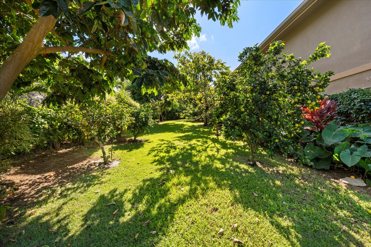 Haiku, Hawaii, 96708, United States, 4 Bedrooms Bedrooms, ,3 BathroomsBathrooms,Residential,For Sale,2002523