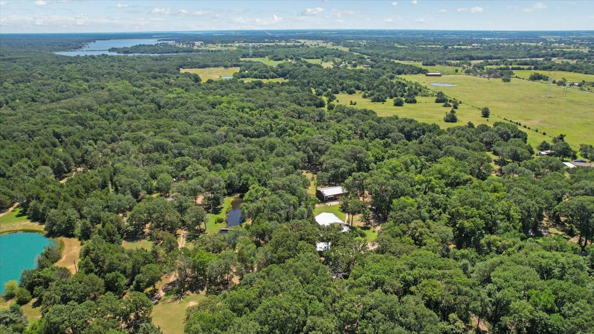 Bonham, Texas, 75418, United States, 6 Bedrooms Bedrooms, ,3 BathroomsBathrooms,Residential,For Sale,1983606