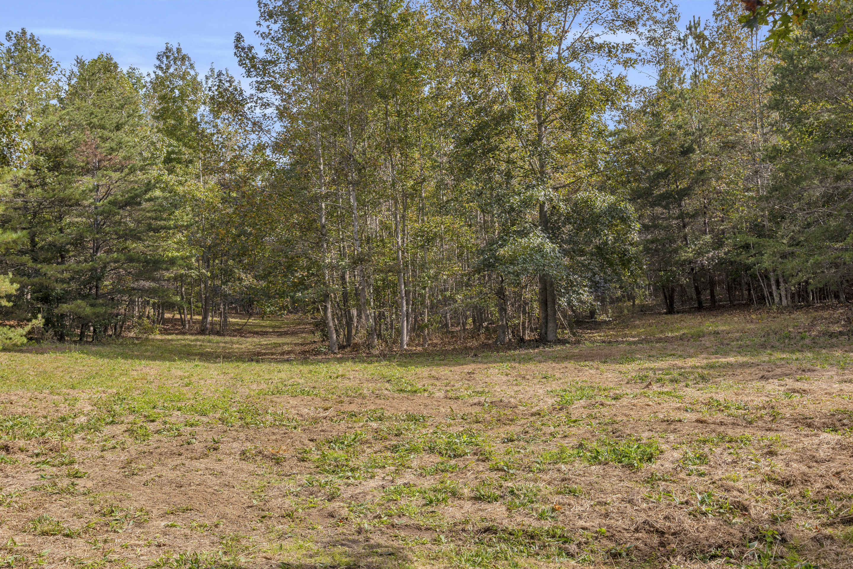 Cleveland, Georgia, 30528, United States, 3 Bedrooms Bedrooms, ,2 BathroomsBathrooms,Residential,For Sale,1979350