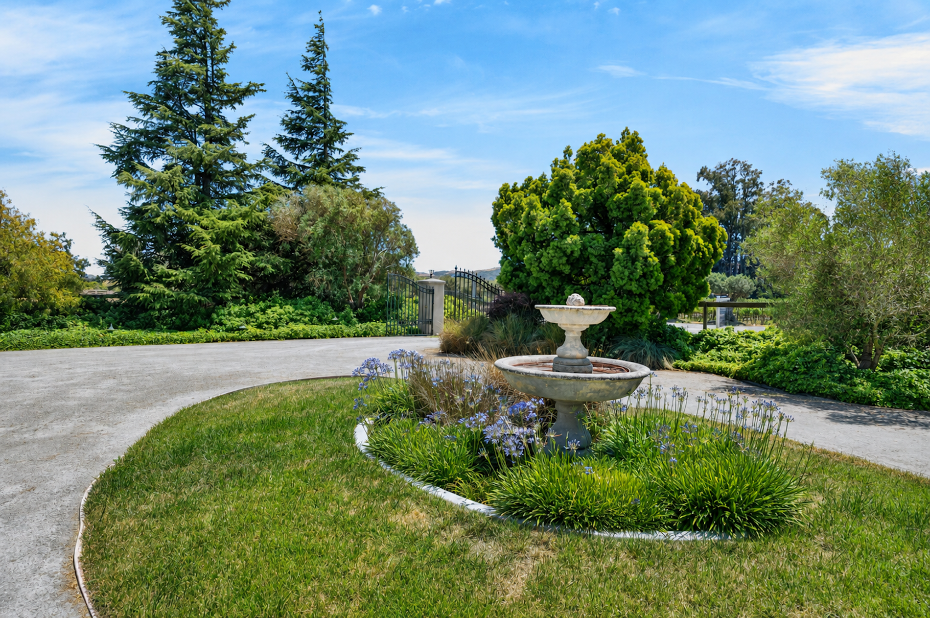  Sonoma Valley Vineyard Estate - 物件實景