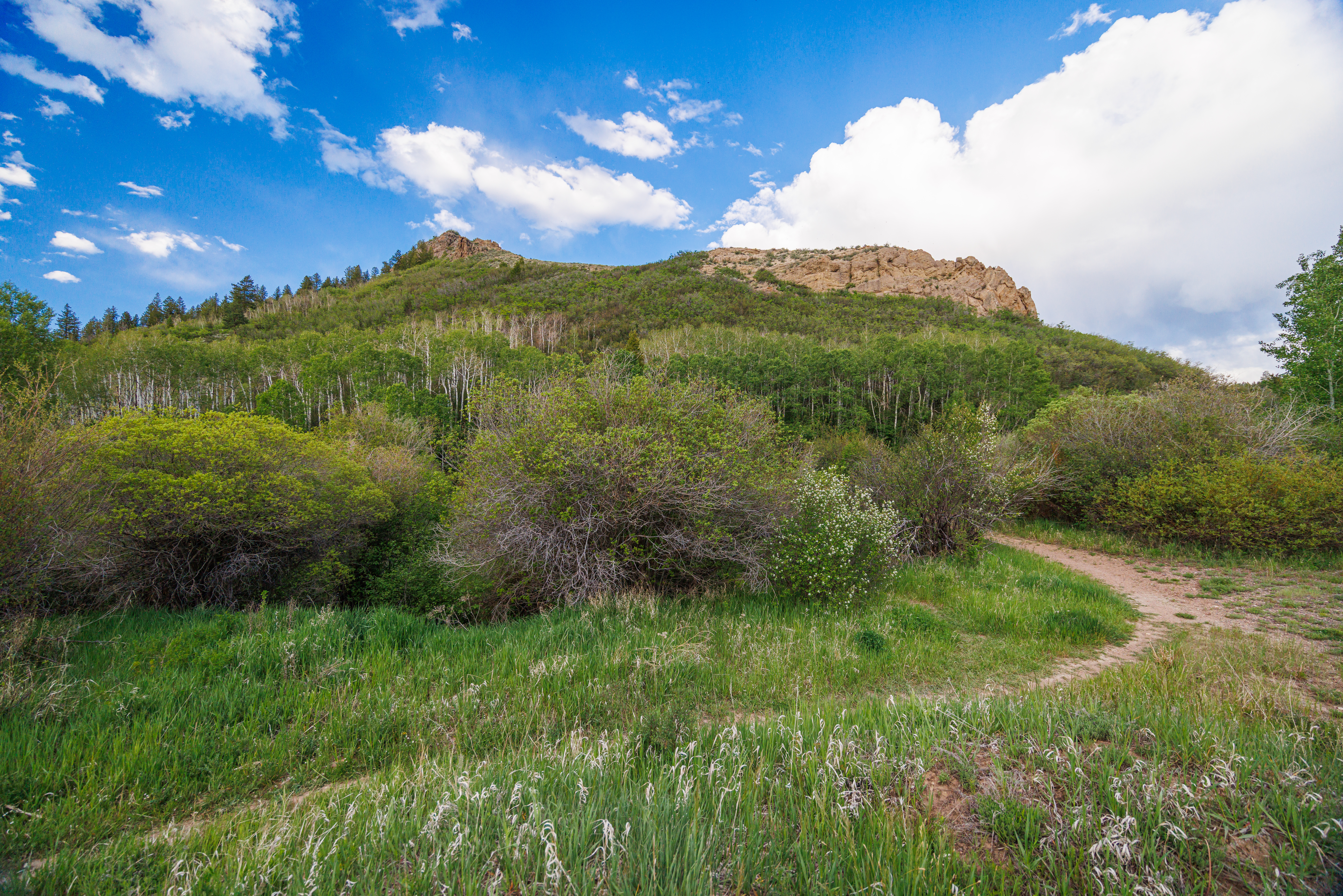  Prime High-Density Residential Development Opportunity in Stagecoach, Colorado - 物件實景