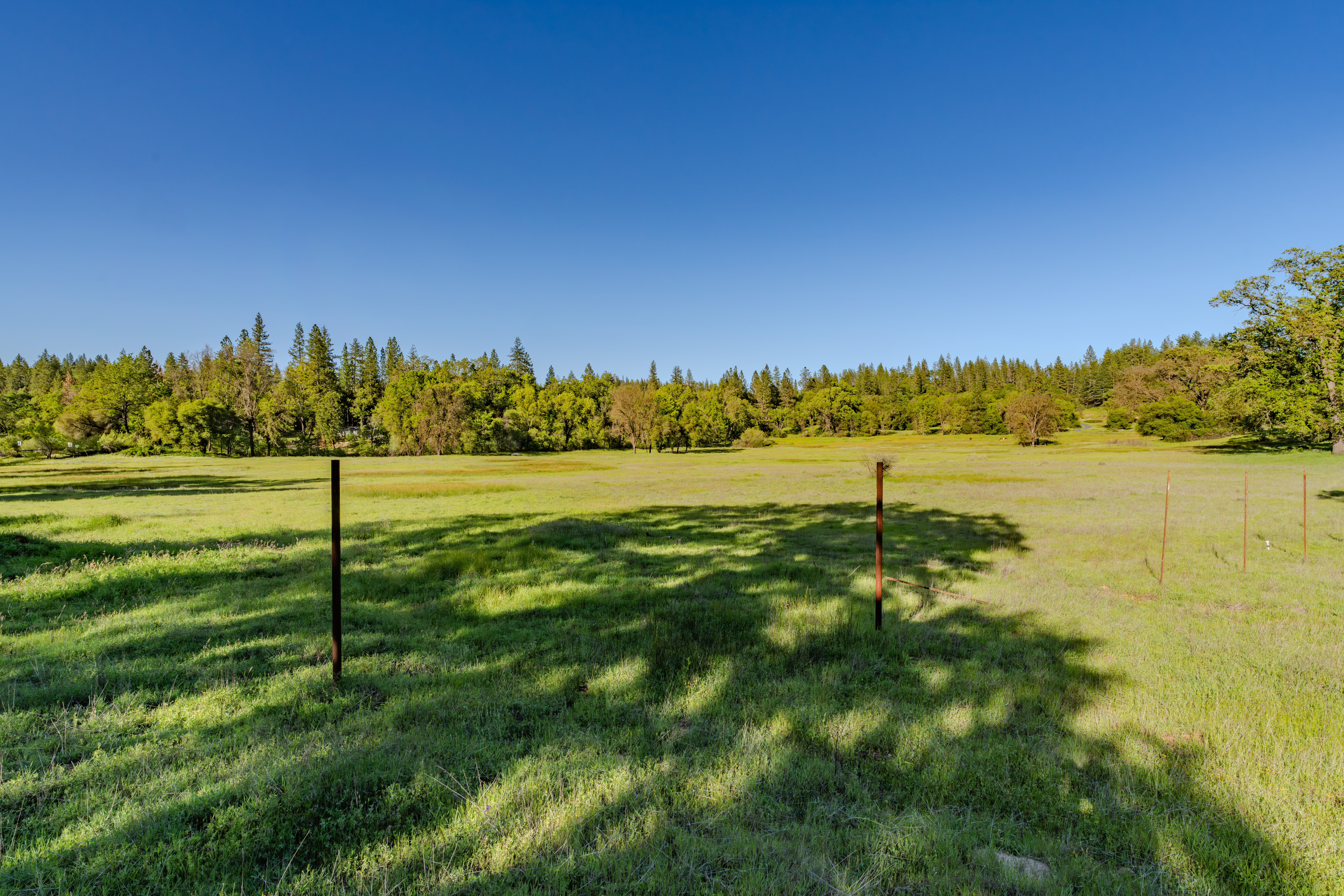  40 Acres - Fully Wheelchair Accessible - Indoor Pool - 物件實景