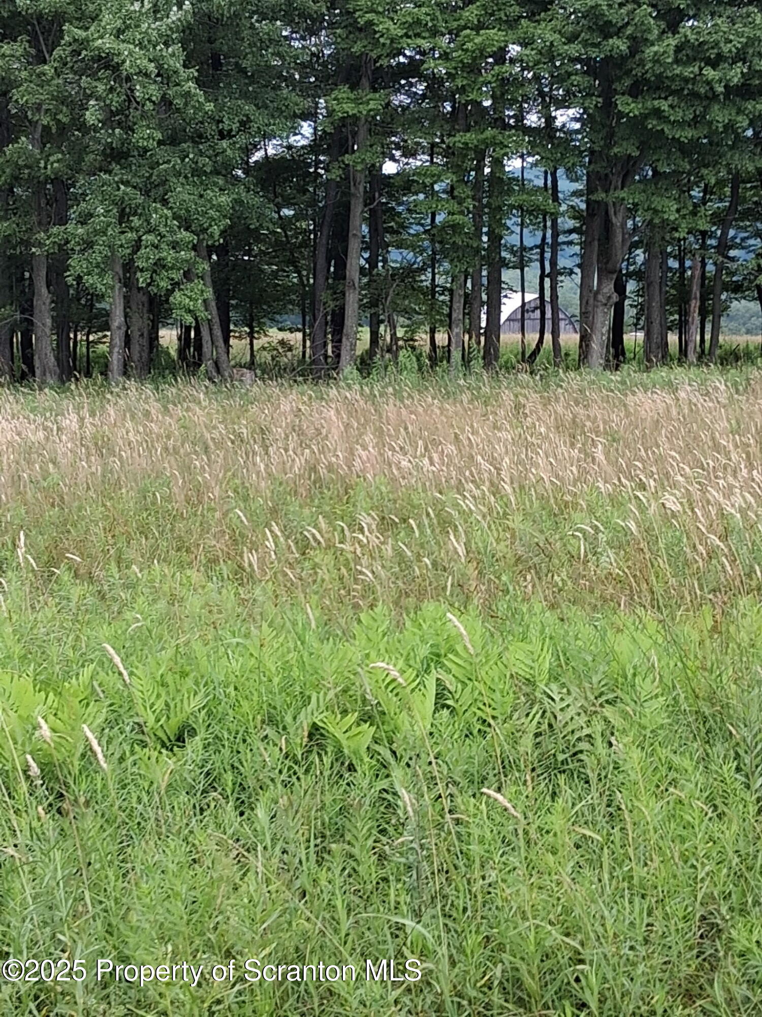 Union Dale, Pennsylvania, 18470, United States, ,Land,For Sale,1975755