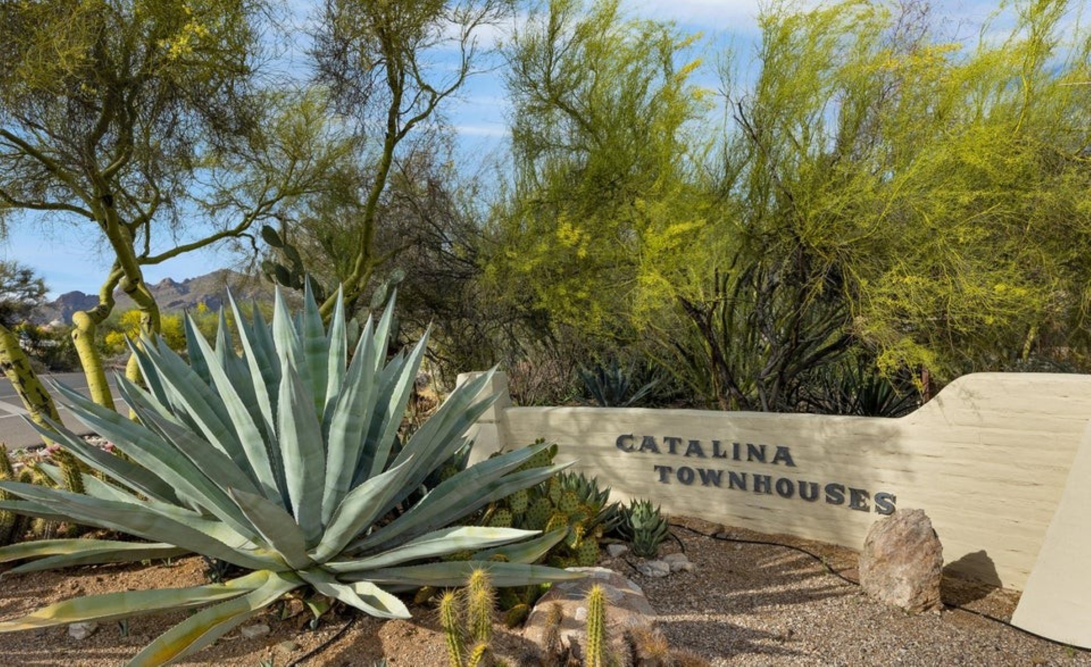  6250 N Campbell Avenue¦Tucson, AZ - 物件實景