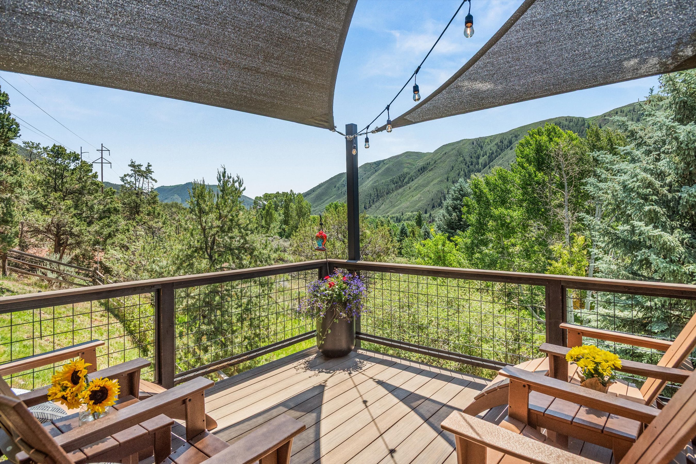  56 Booth Lane, Basalt, CO, 81621 - 物件實景