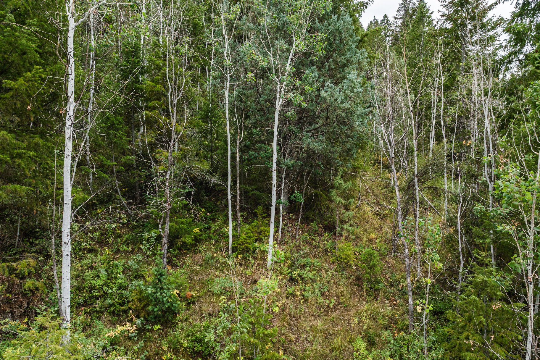  One+ Acre Off Mirror Lake Highway  Power, Septic Plan & Year Round Access - 物件實景