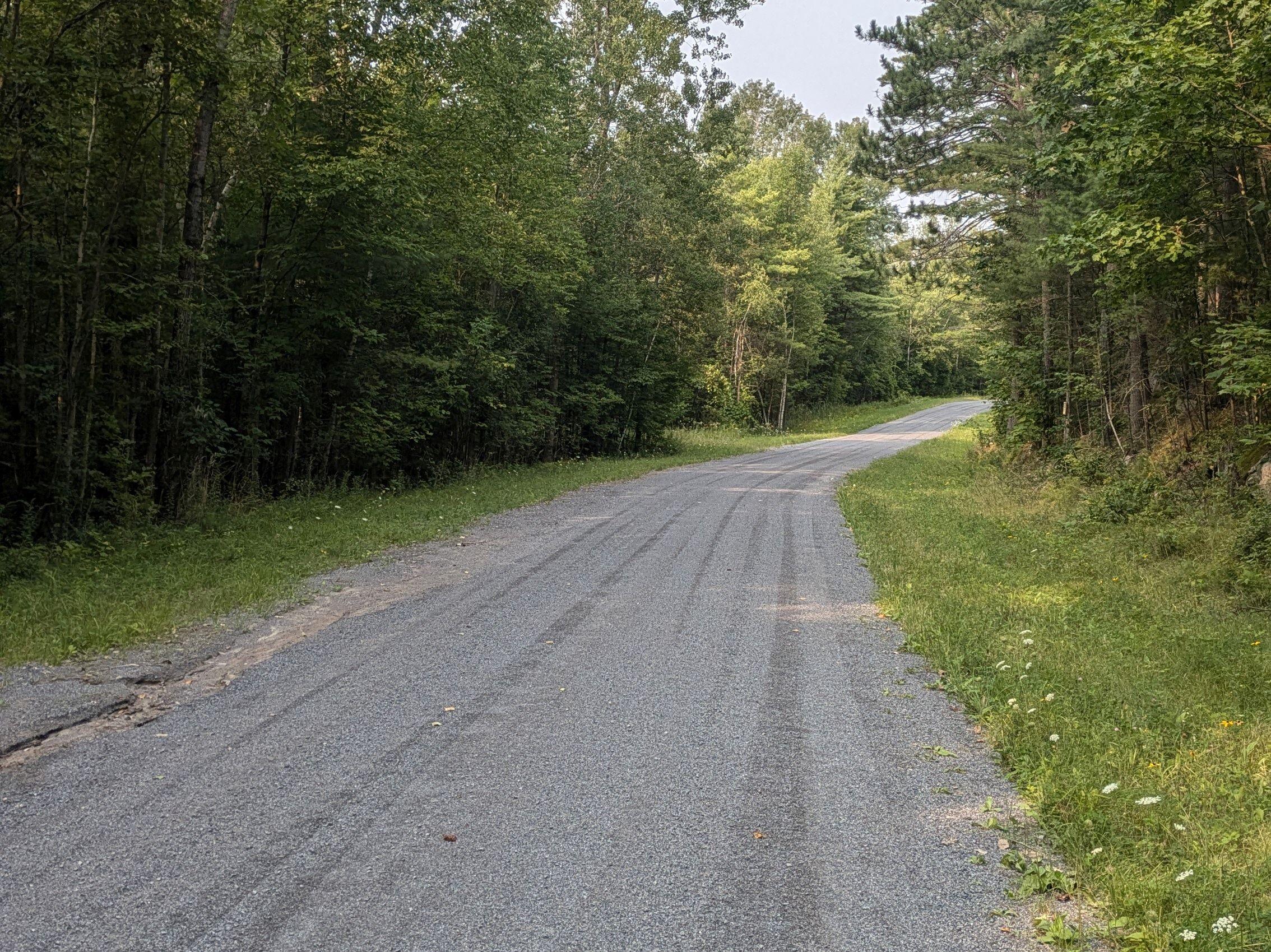 358 Buck Hill Road, Black Brook, New York, 12912, United States, ,Land,For Sale,358 Buck Hill Road,1675240