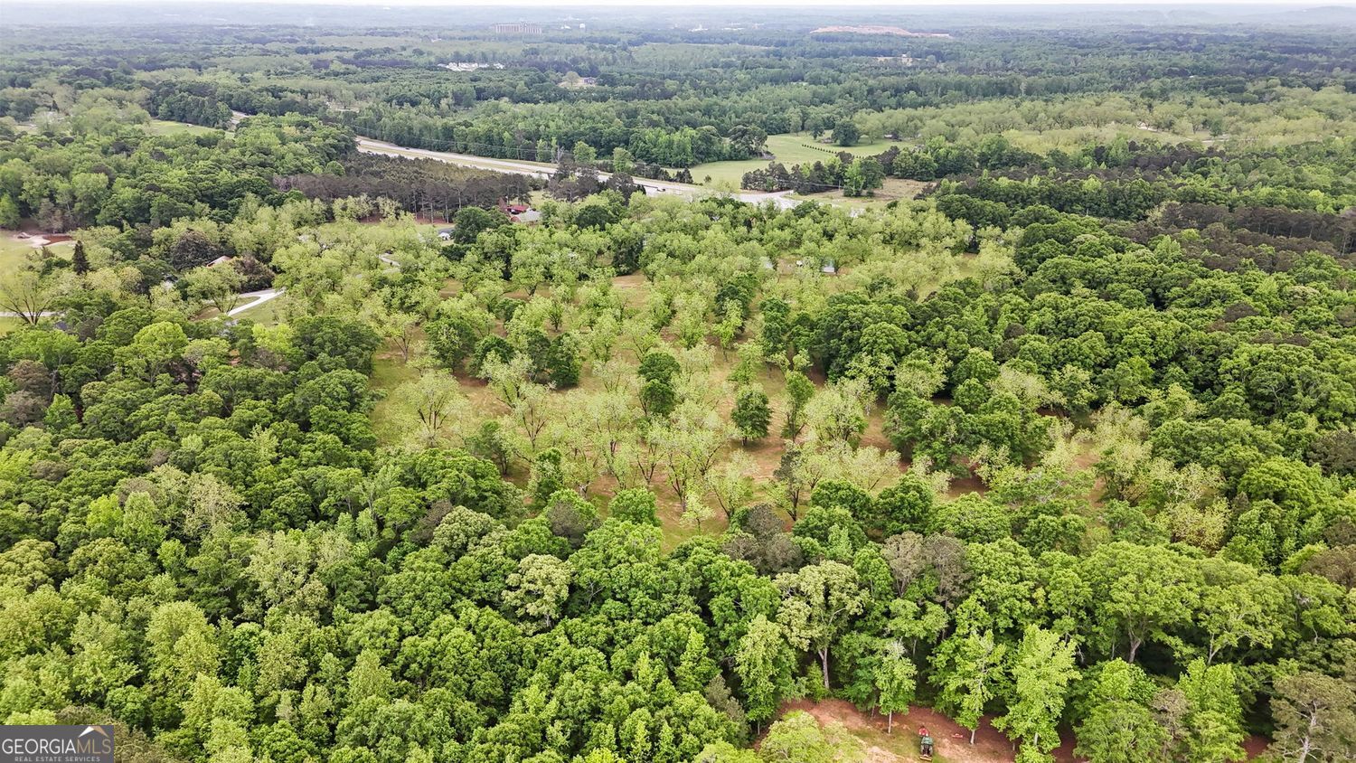 Milner, Georgia, 30257, United States, ,Land,For Sale,1859026