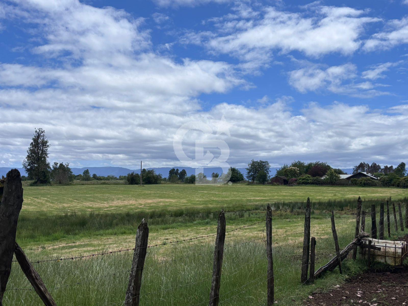 Fresia, Chile, ,Land,For Sale,2003048