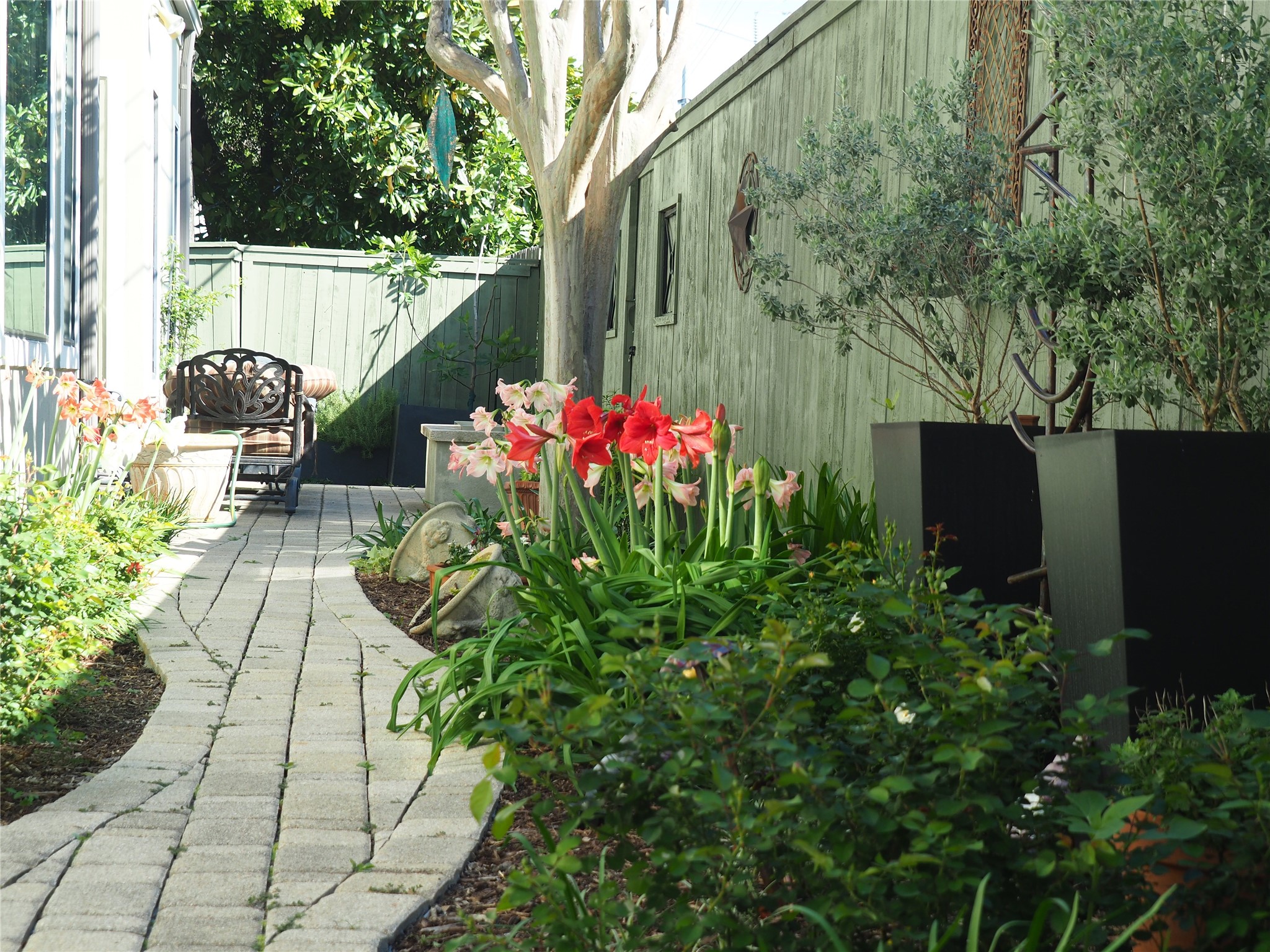  24 Hackberry Lane B - 物件實景