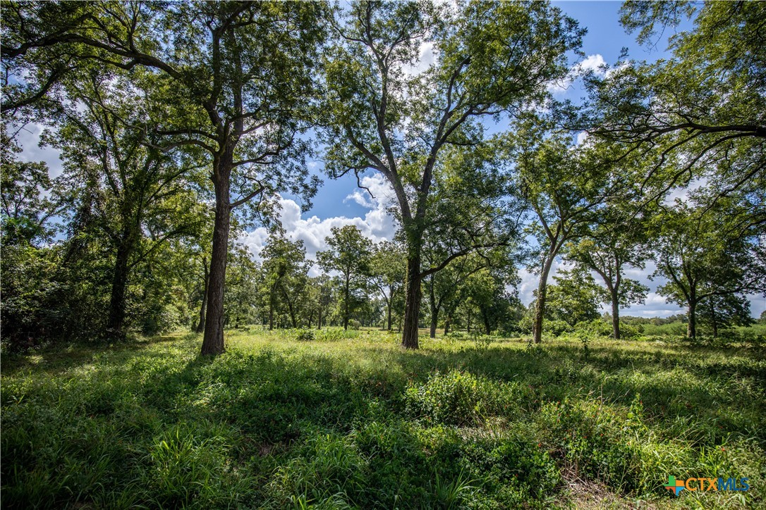 Cuero, Texas, 77954, United States, ,Residential,For Sale,1949163