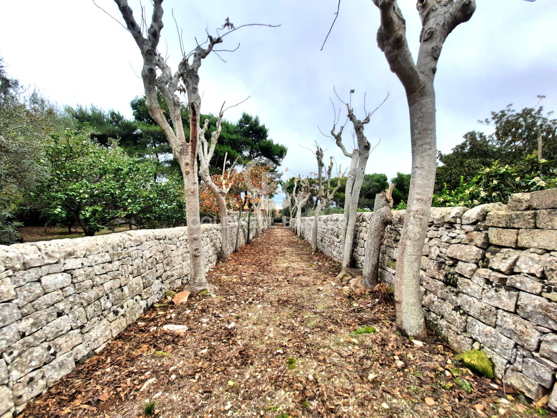 Via Sulsenti, Modica, Ragusa, 97015, IT, 4 Bedrooms Bedrooms, ,4 BathroomsBathrooms,Residential,For Sale,Via Sulsenti,1670426