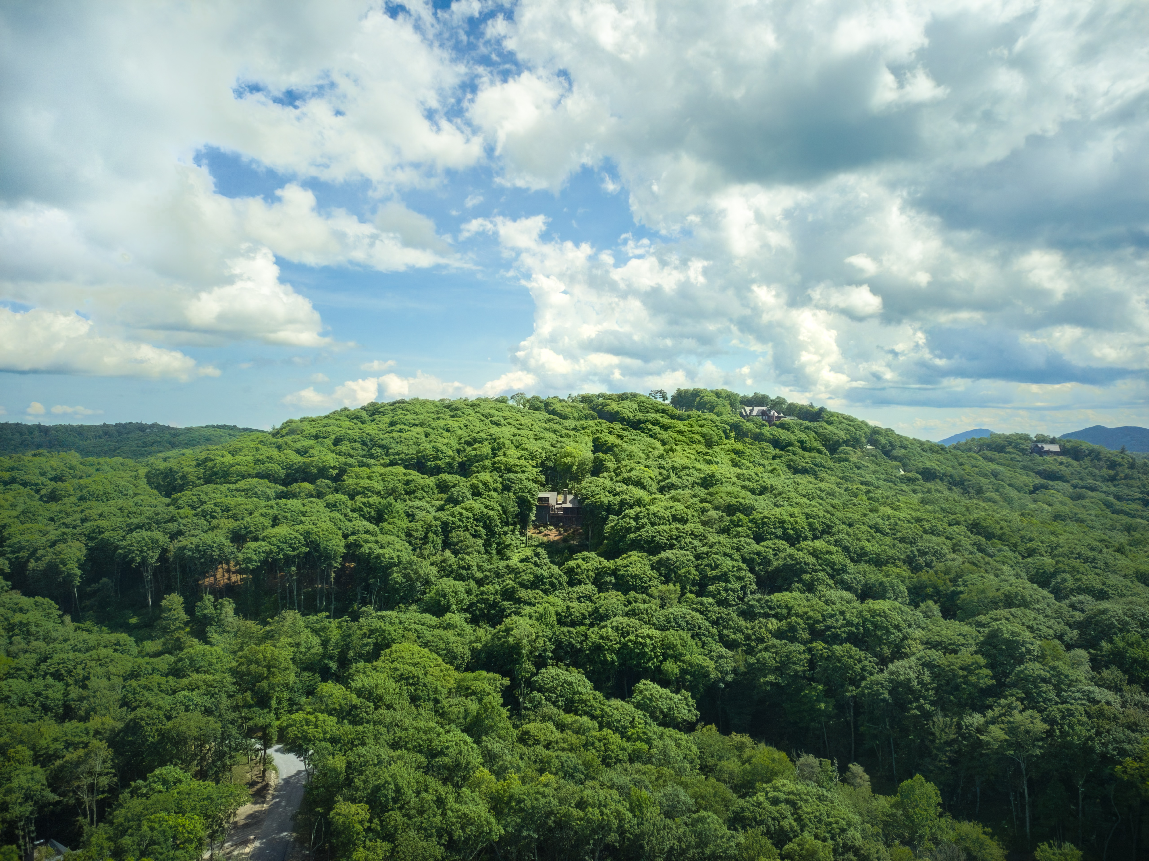  Mountain Home at Chinquapin - 物件實景