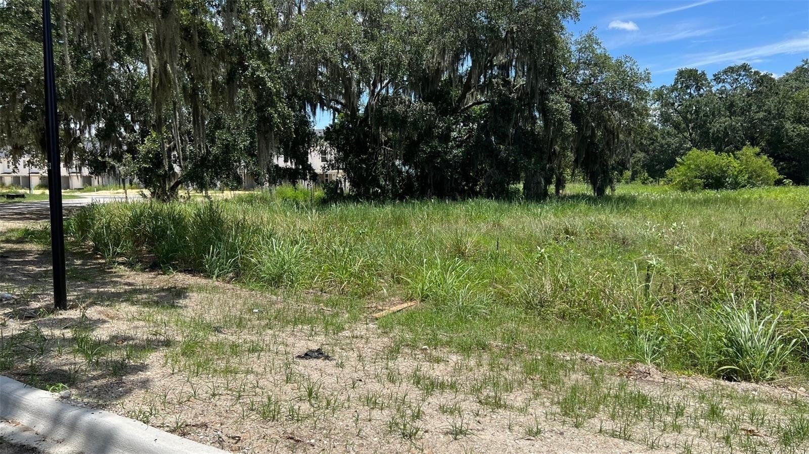 AUBURNDALE, Florida, 33823, United States, ,Land,For Sale,1977523