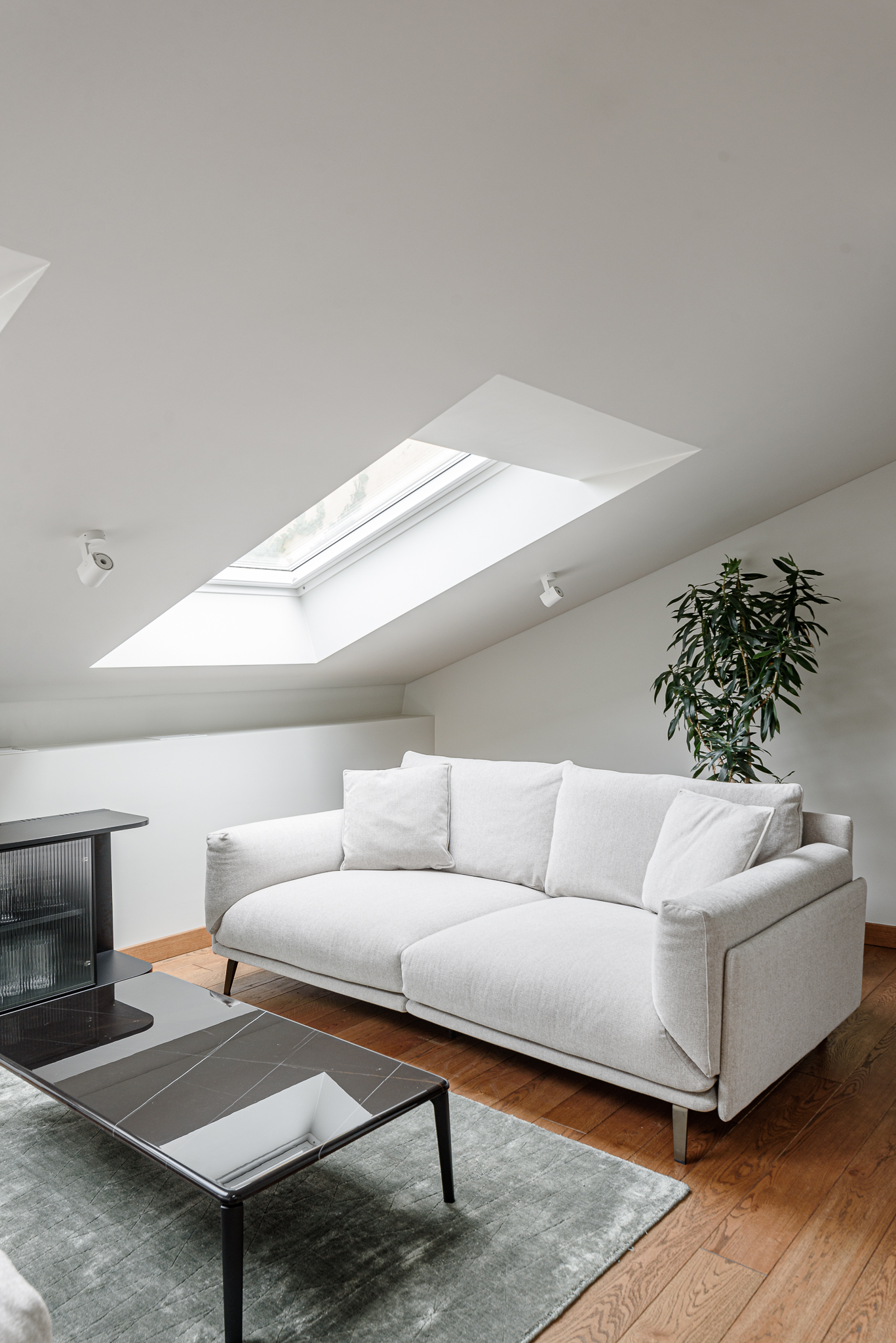  An extraordinary investment in the heart of Vilnius - 物件實景