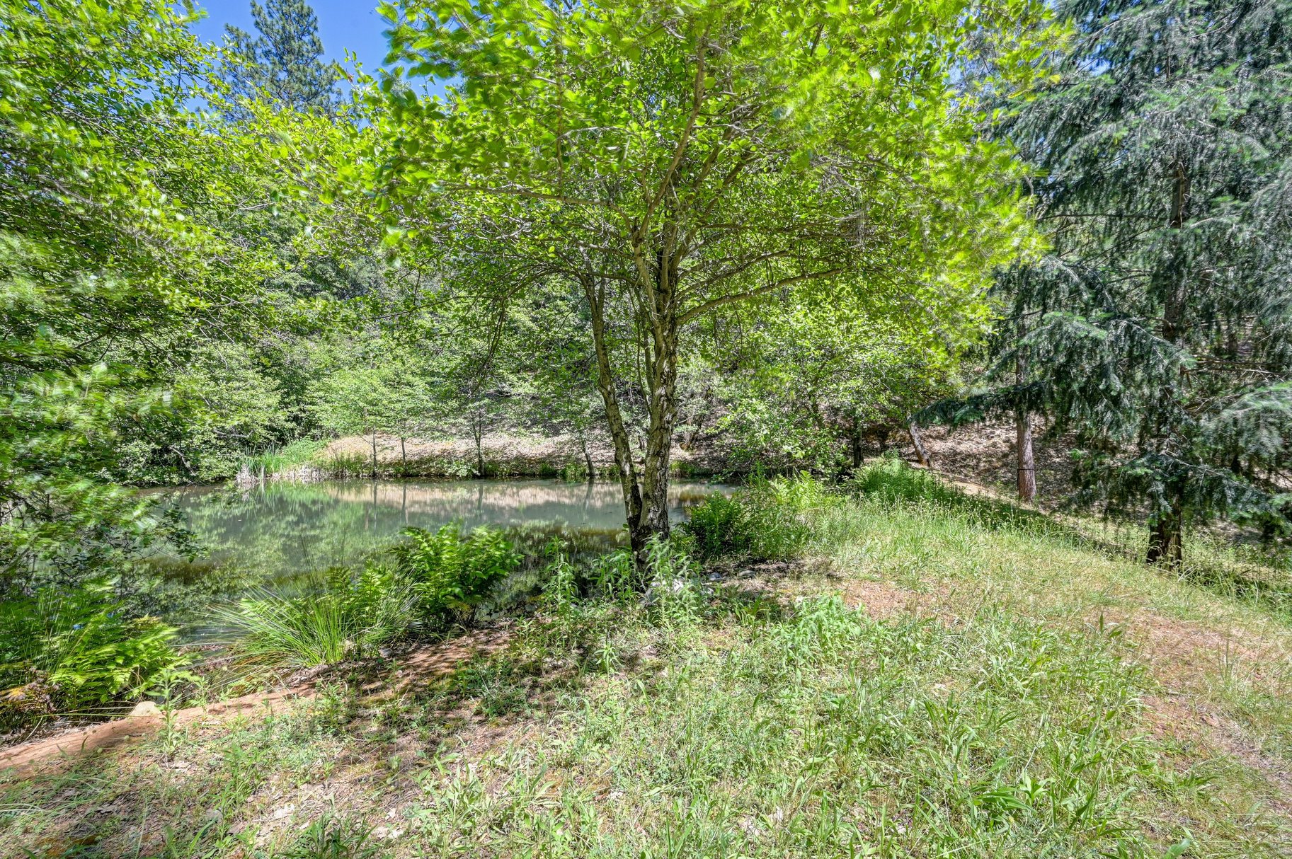  Immaculately Maintained Country Retreat on Acreage with pond - 物件實景