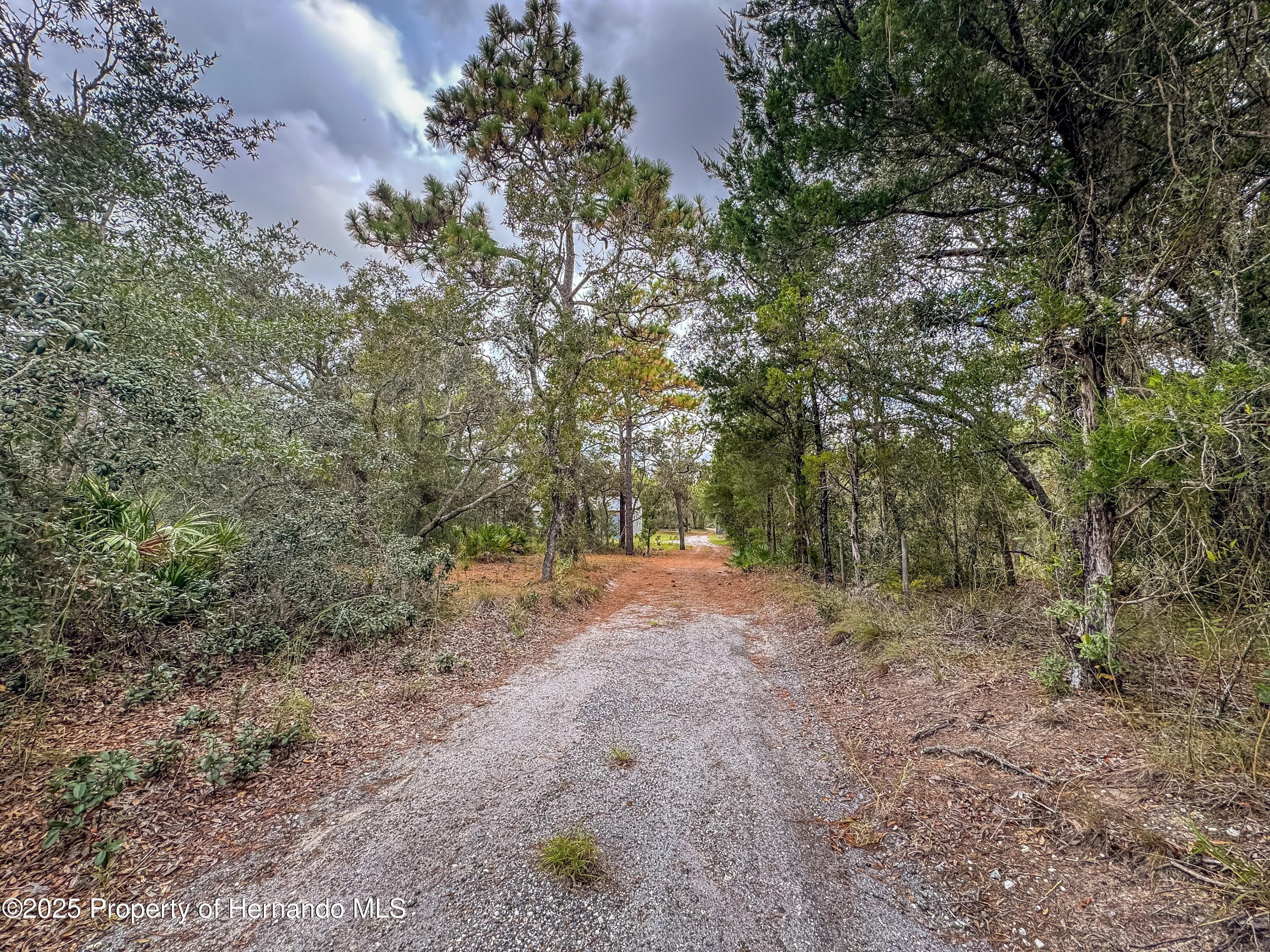 Brooksville, Florida, 34613, United States, 4 Bedrooms Bedrooms, ,2 BathroomsBathrooms,Residential,For Sale,1975088
