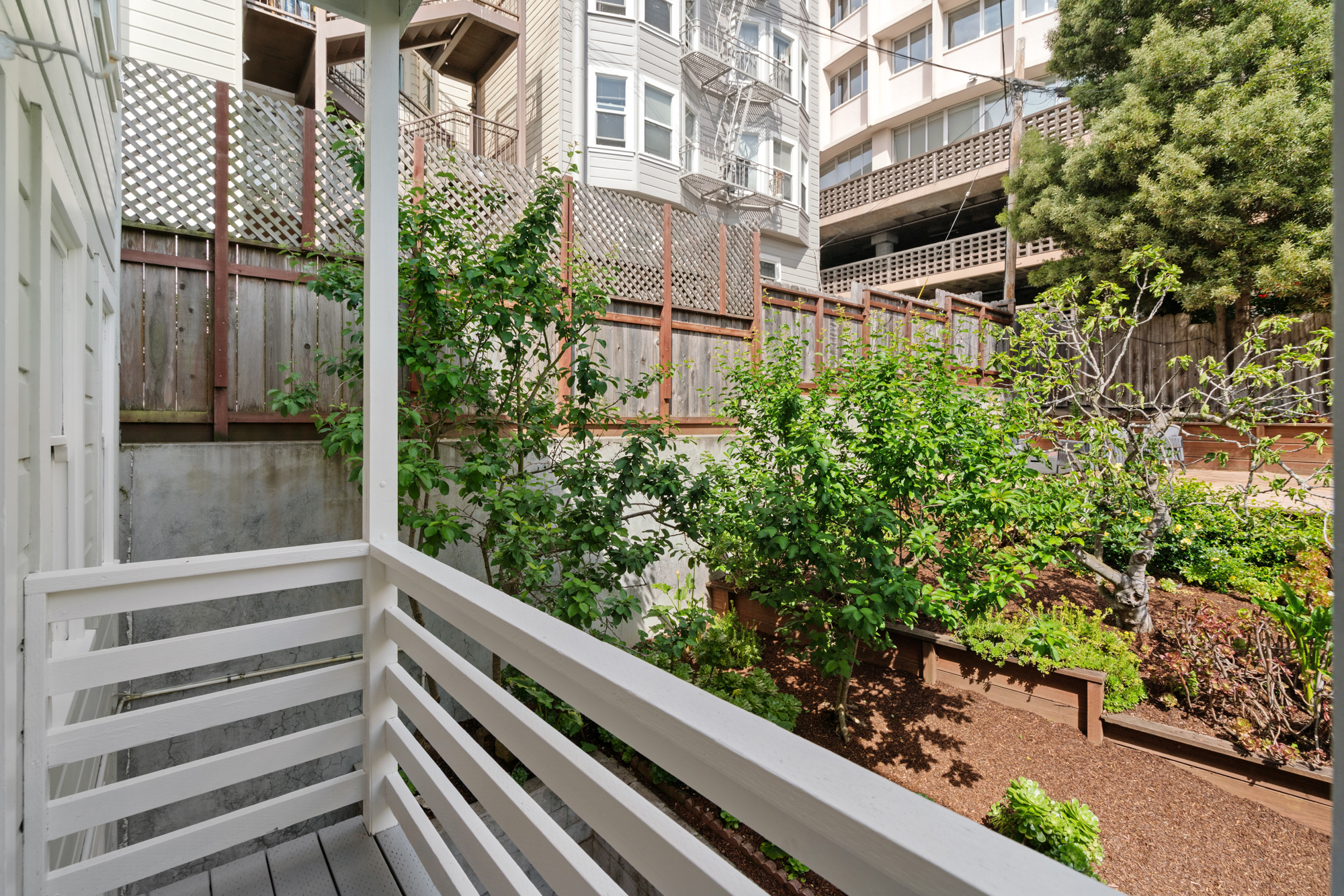  Incredible Unit on Nopa’s Best Street - 物件實景