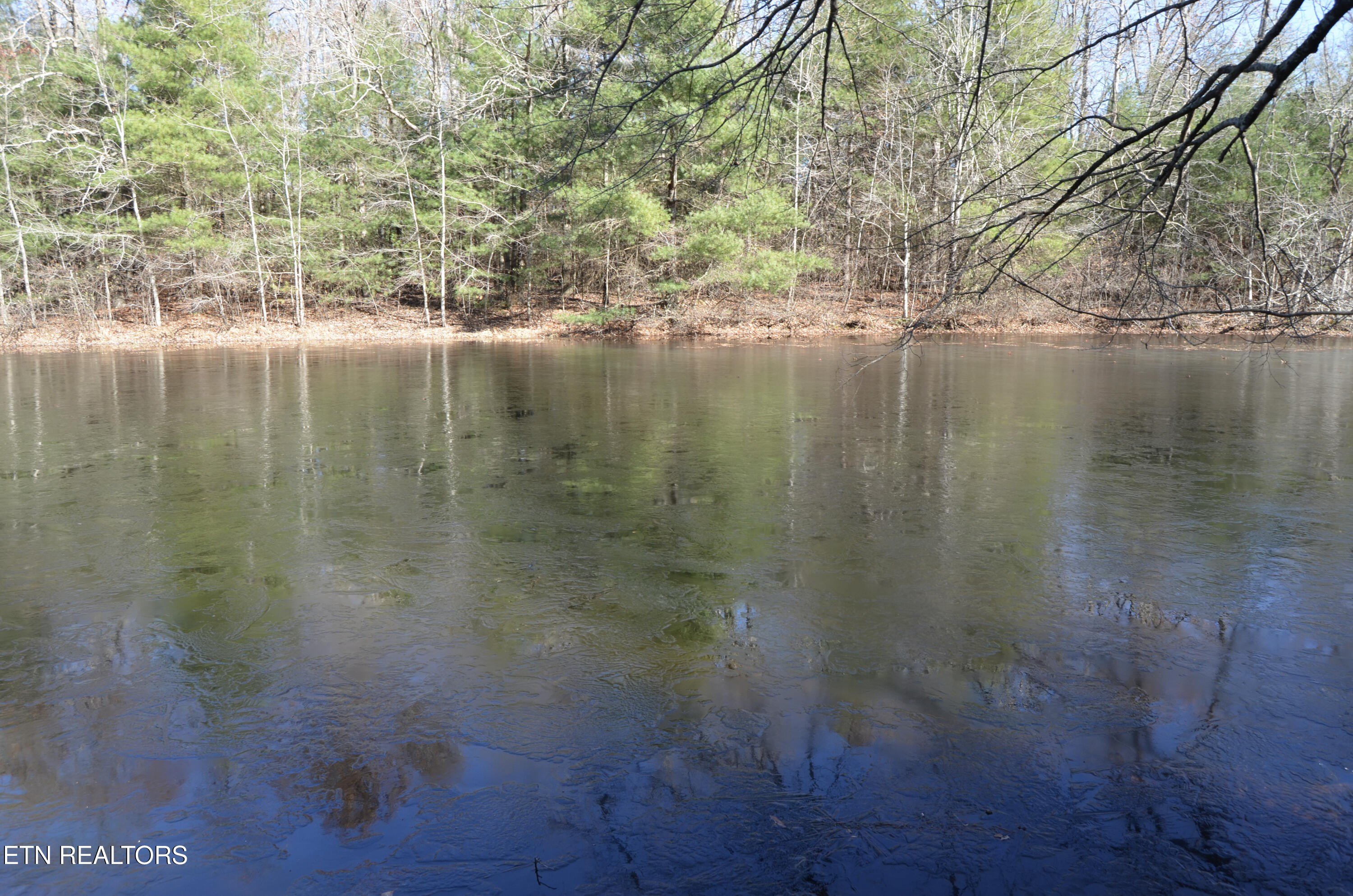 Crossville, Tennessee, 38555, United States, ,Land,For Sale,1983294